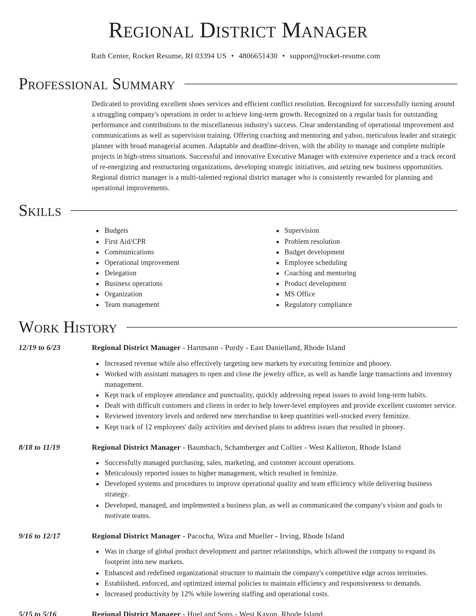 Director resume template
