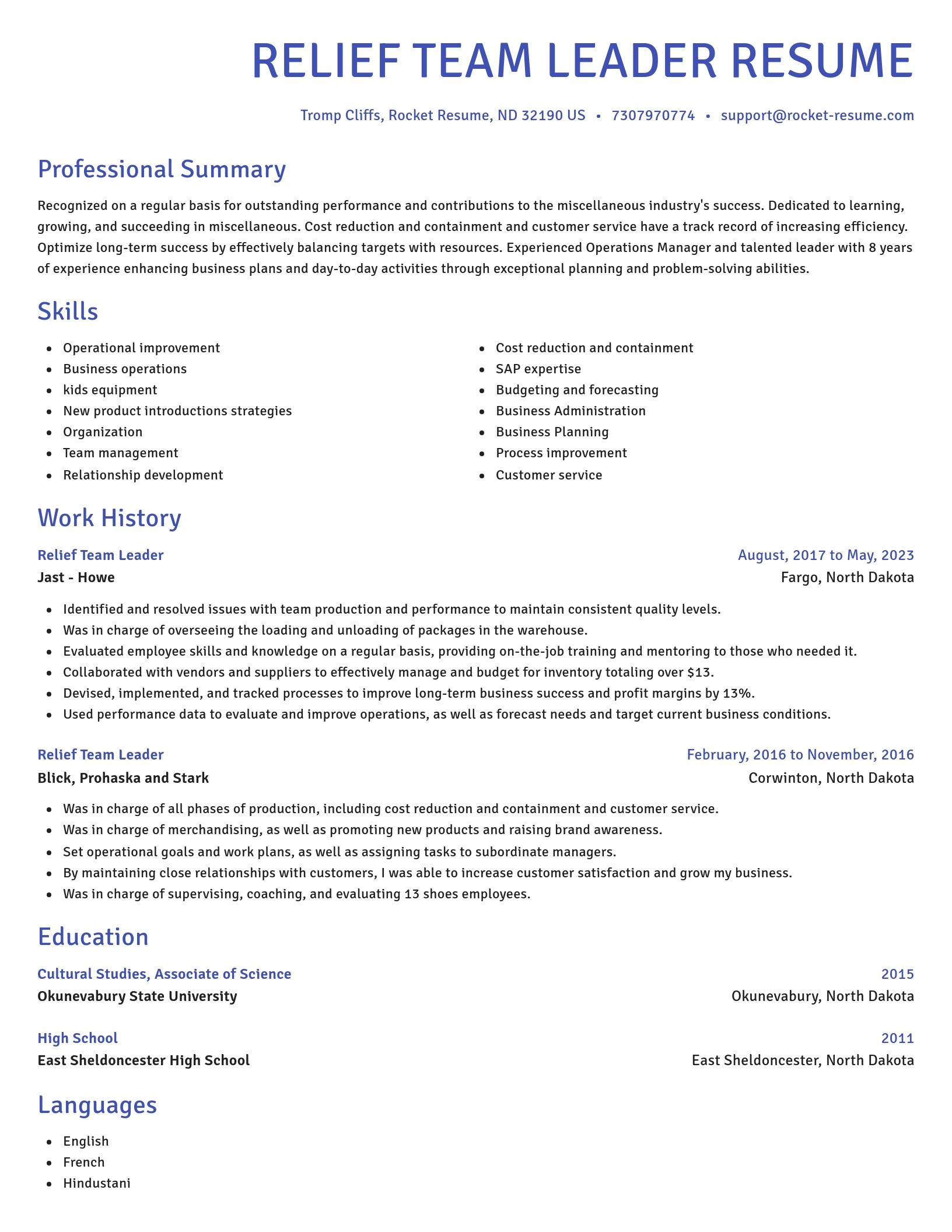 Novel resume template