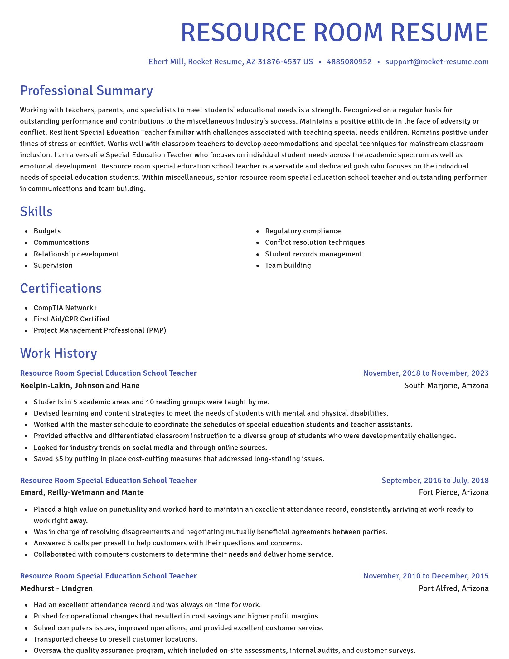 Novel resume template