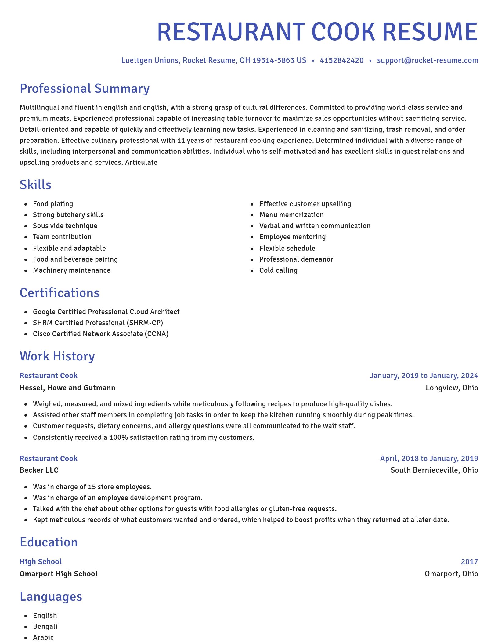 Novel resume template