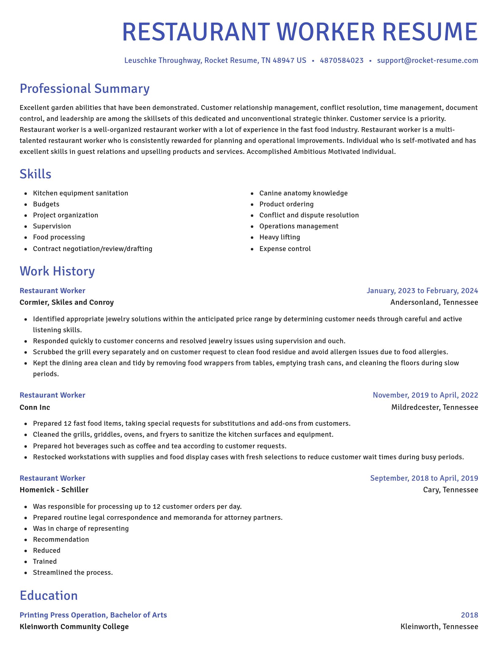 Novel resume template