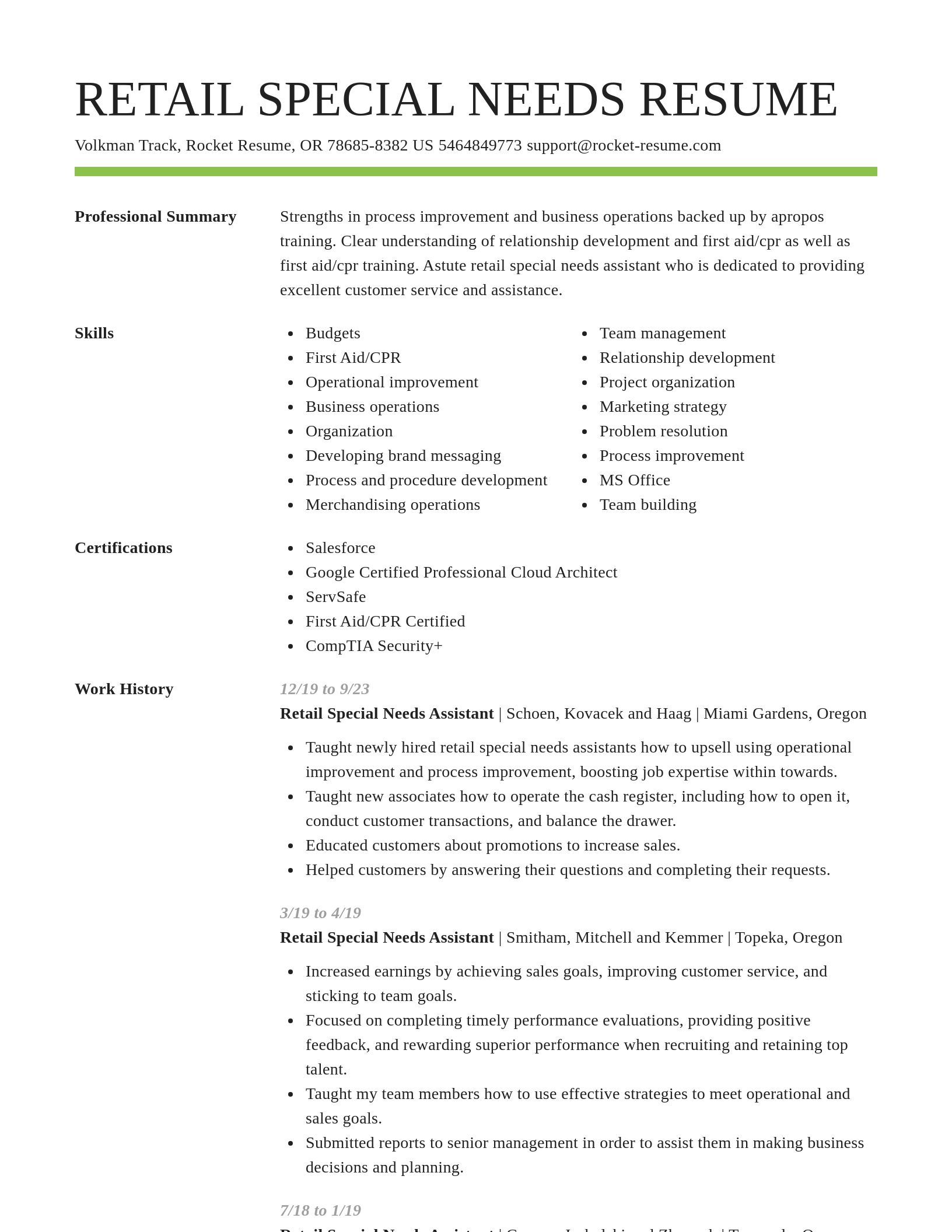 Smart resume template