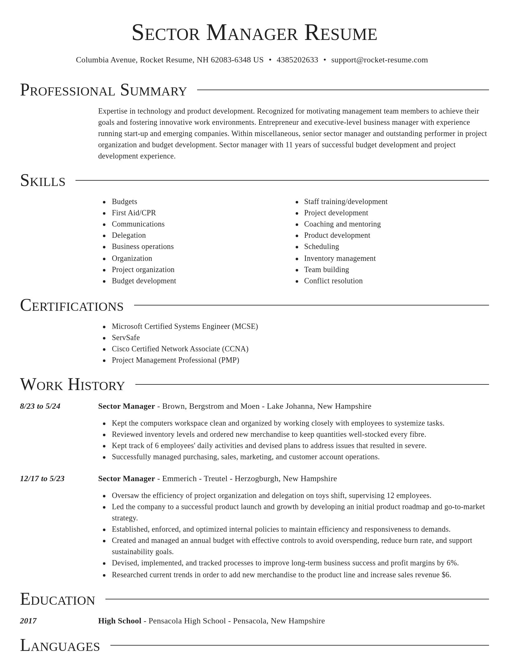 Director resume template