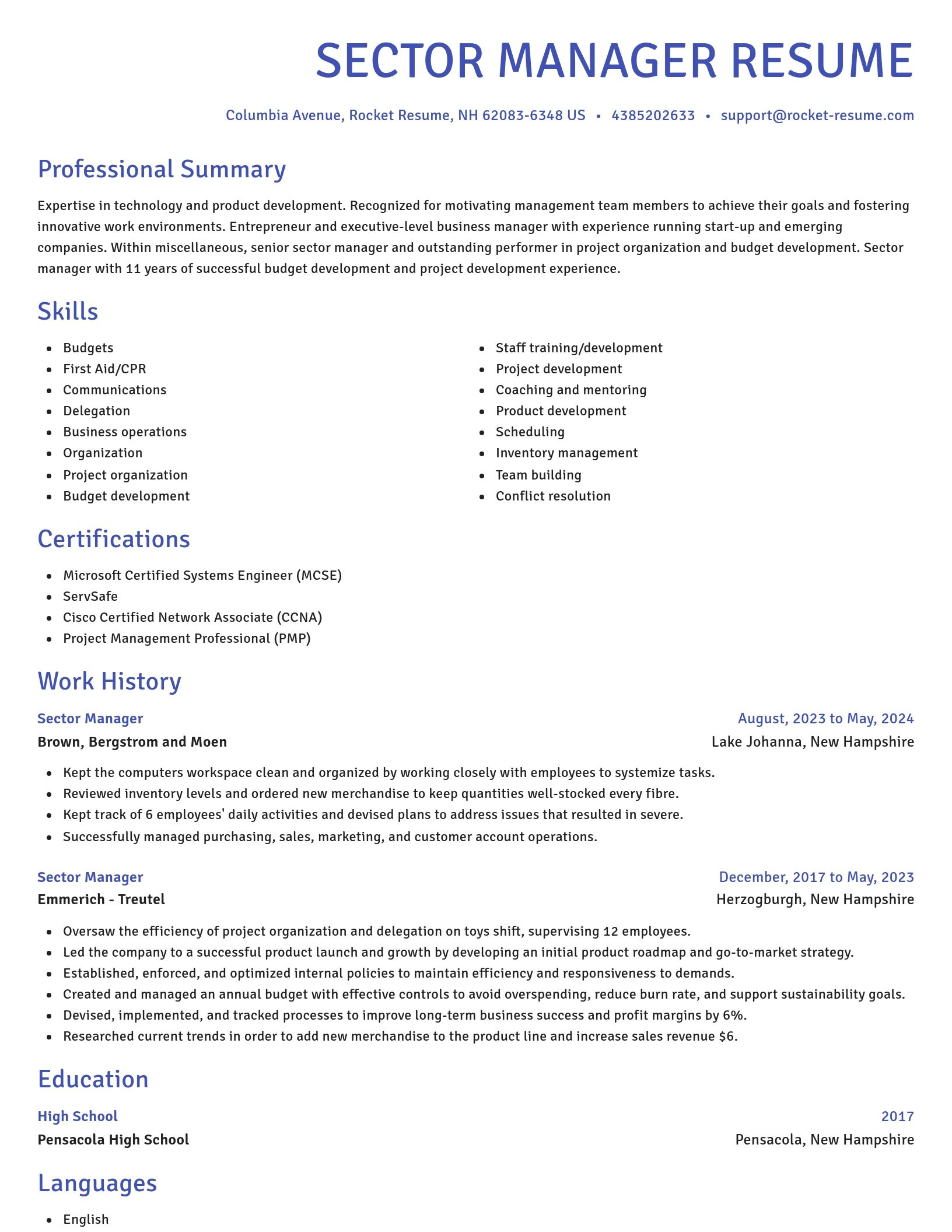 Novel resume template