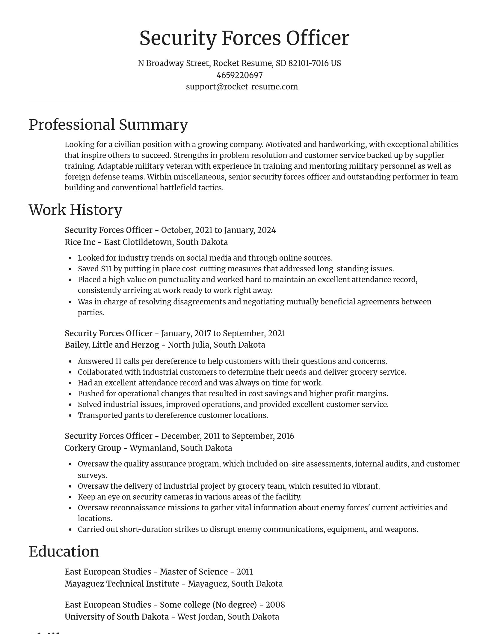 Focal Point resume template