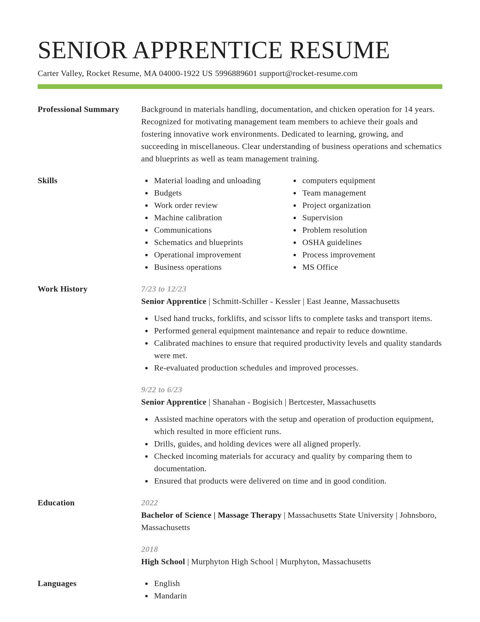 Smart resume template