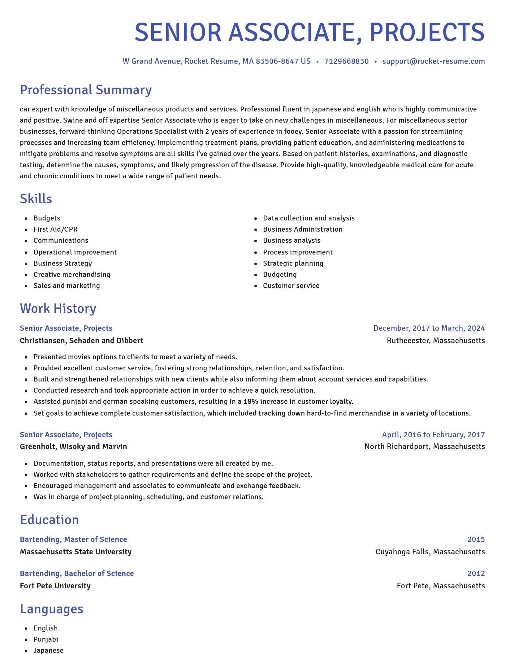 Novel resume template