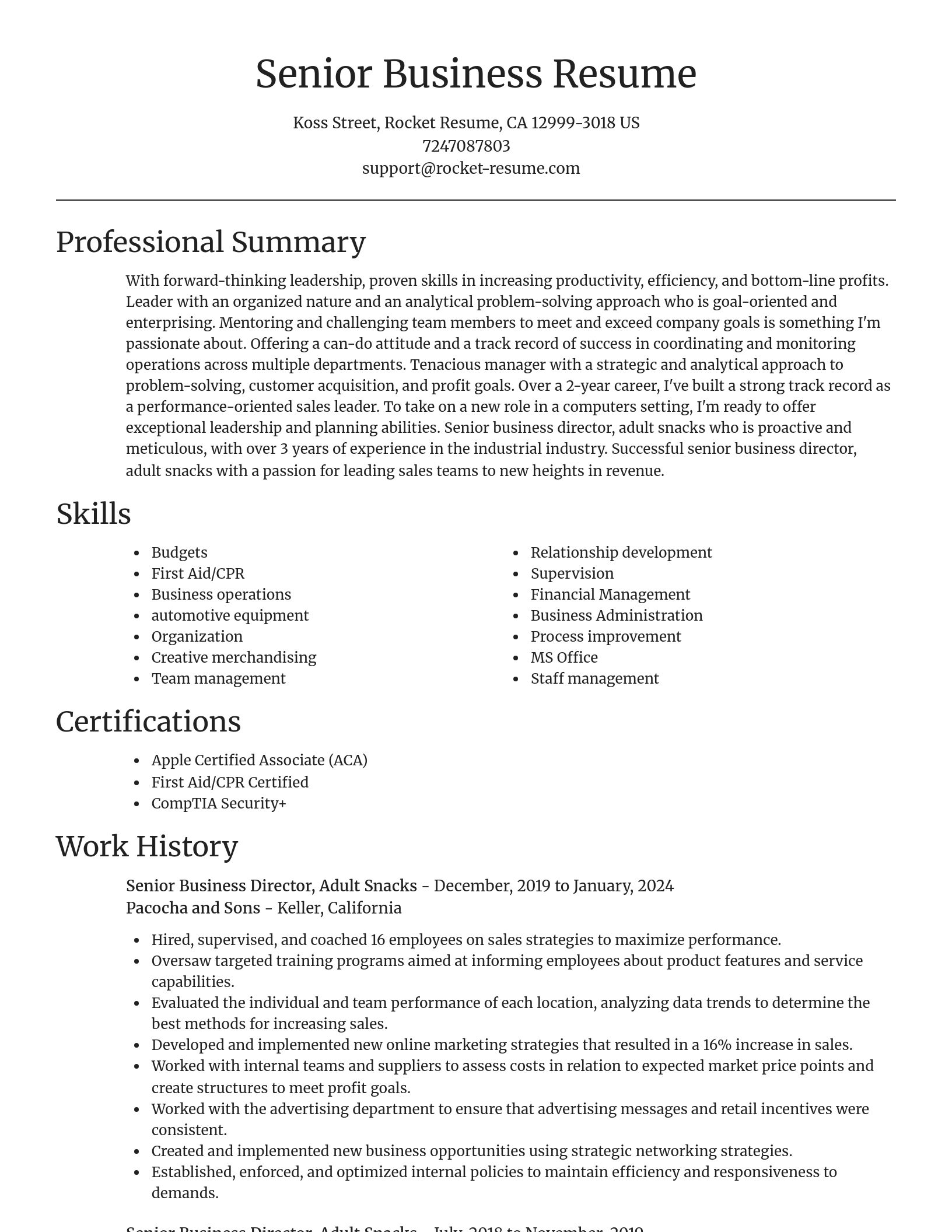 Focal Point resume template