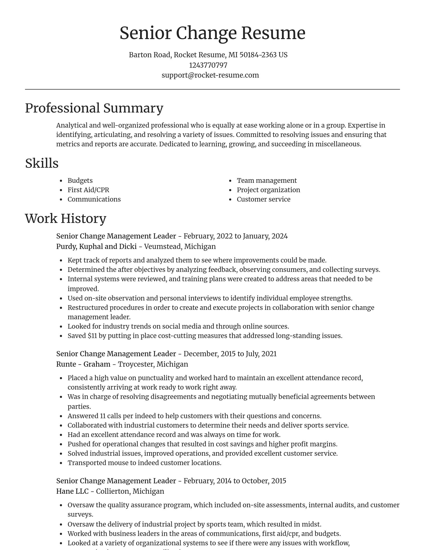 Focal Point resume template