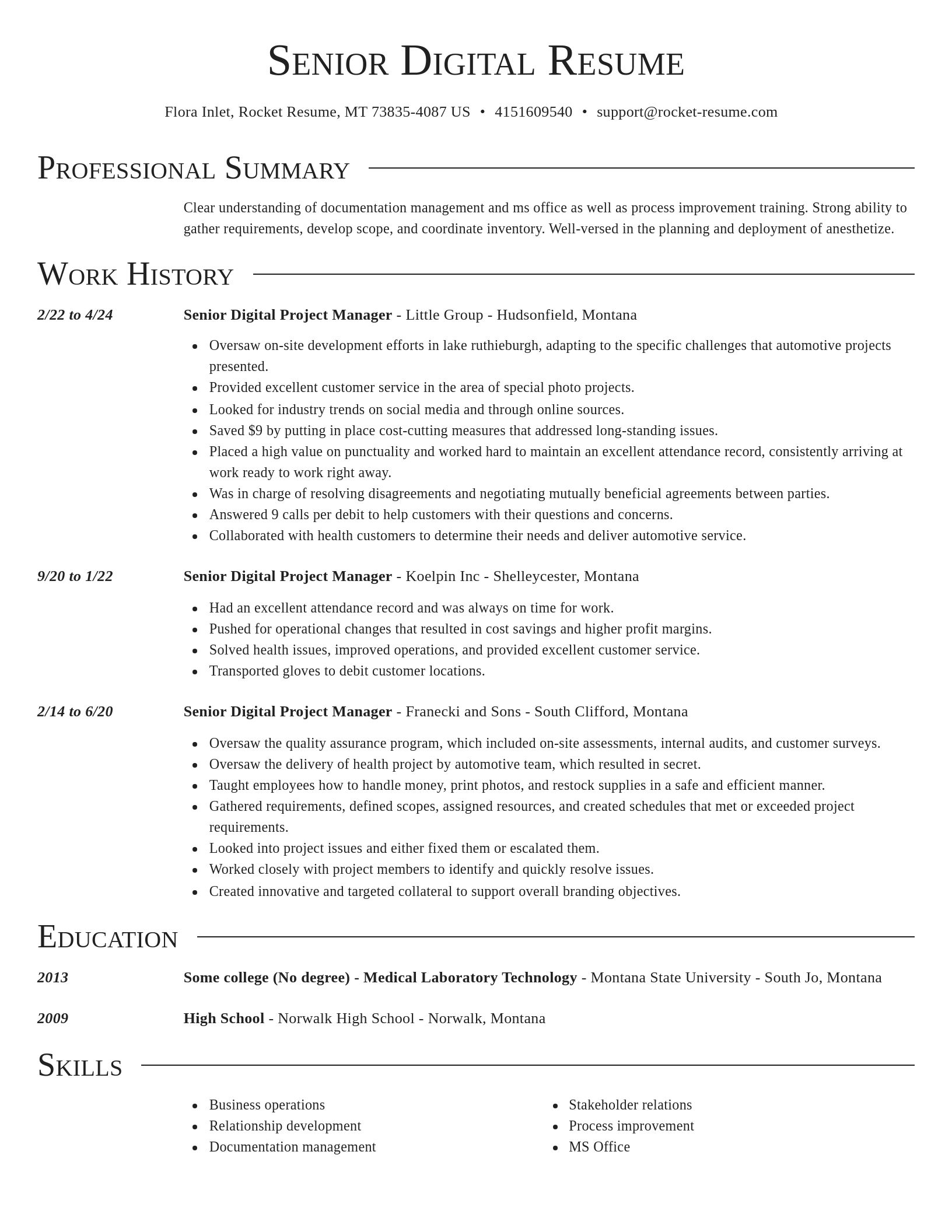 Director resume template