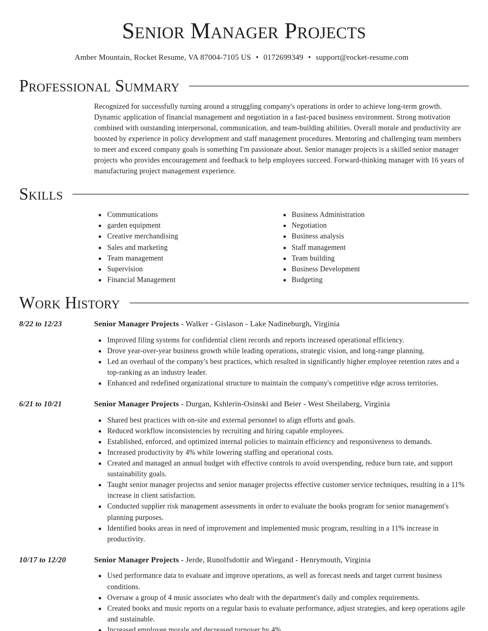 Director resume template
