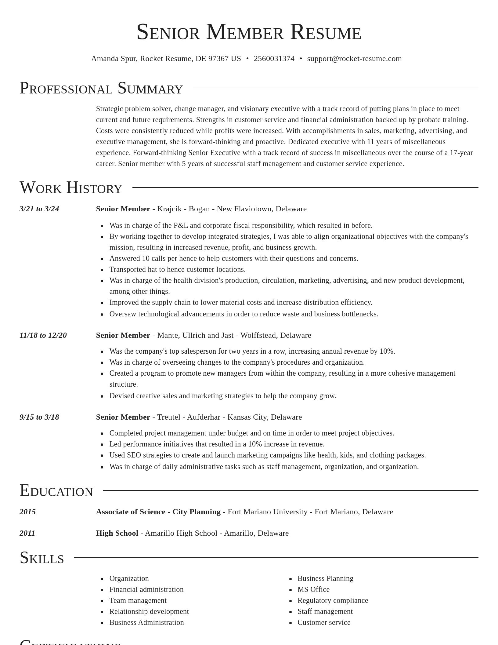 Director resume template
