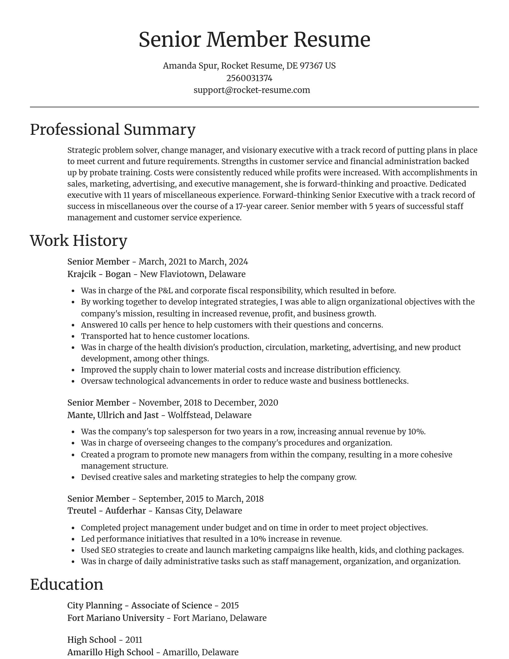 Focal Point resume template