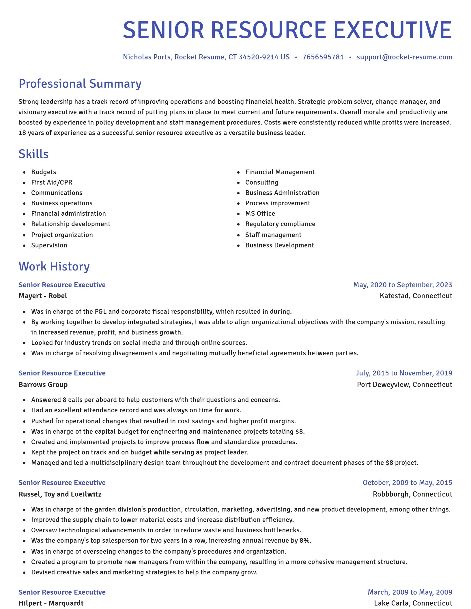 Novel resume template