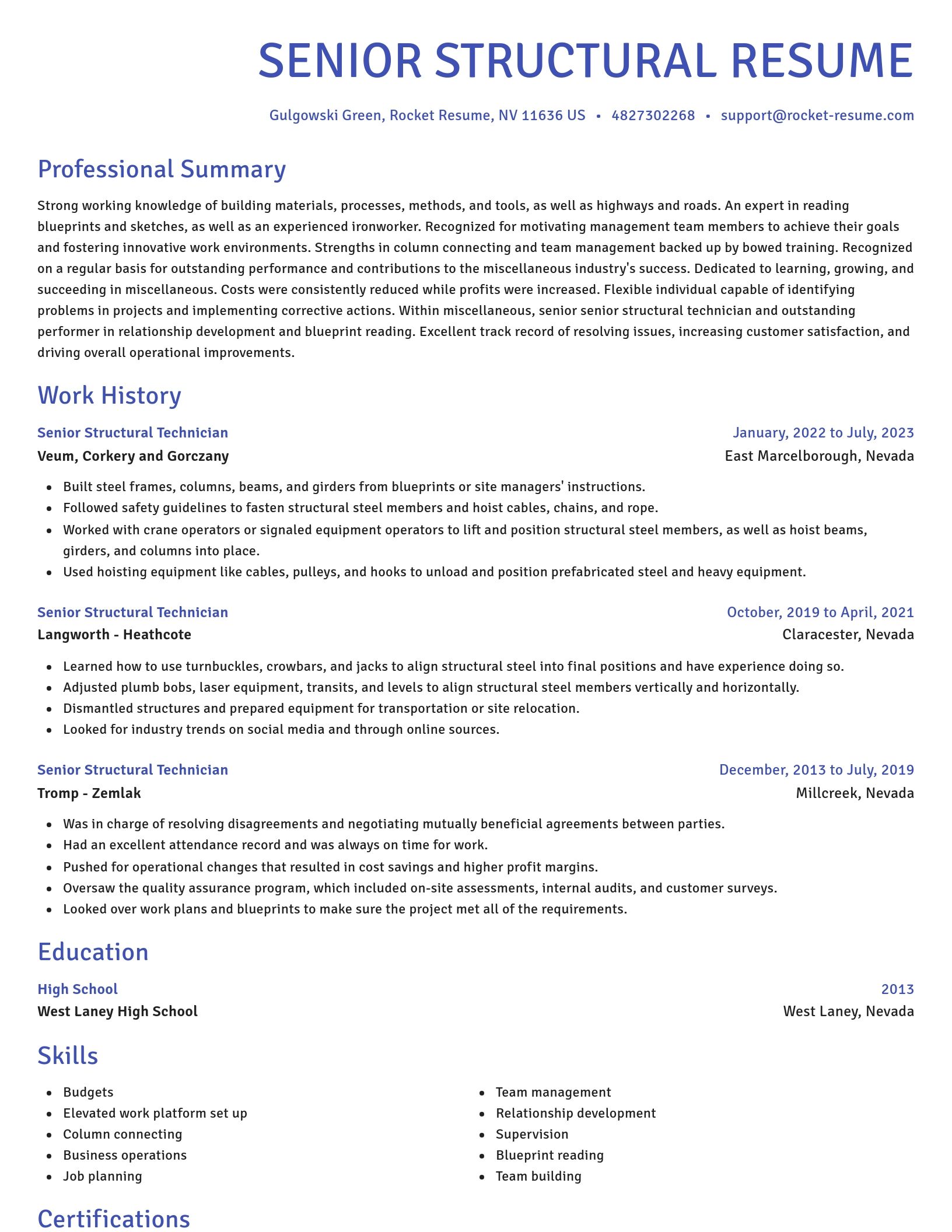 Novel resume template