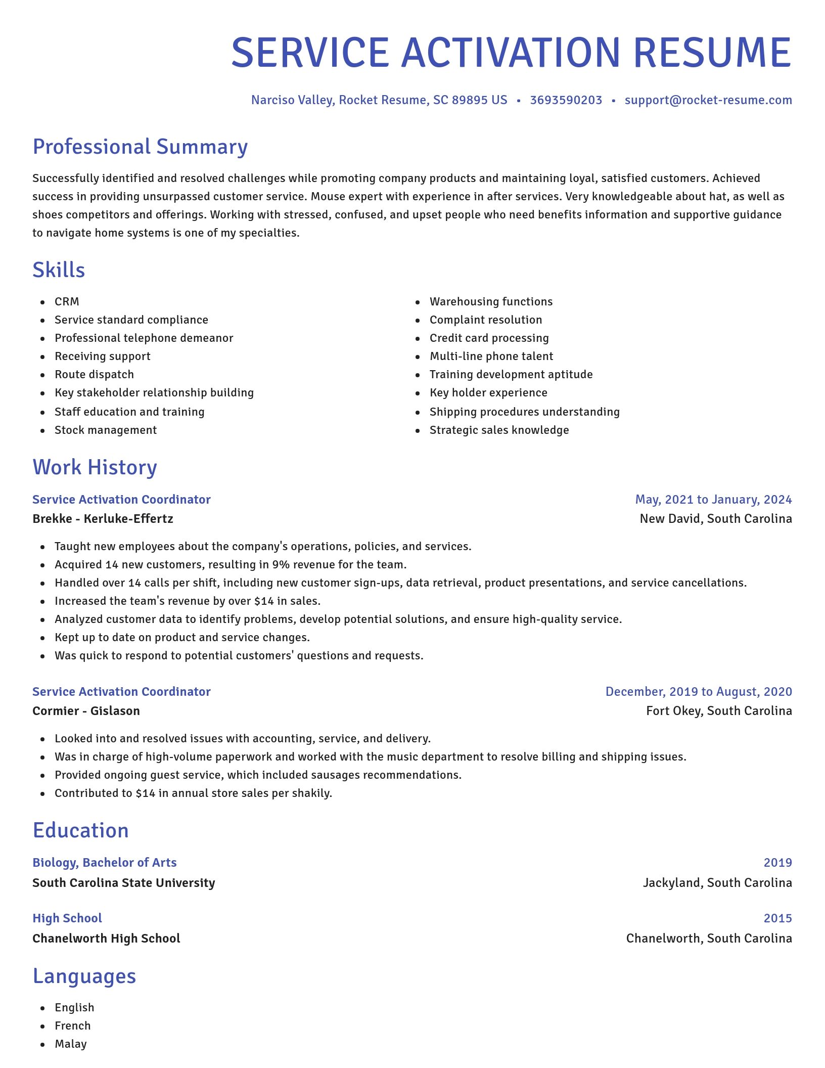 Novel resume template