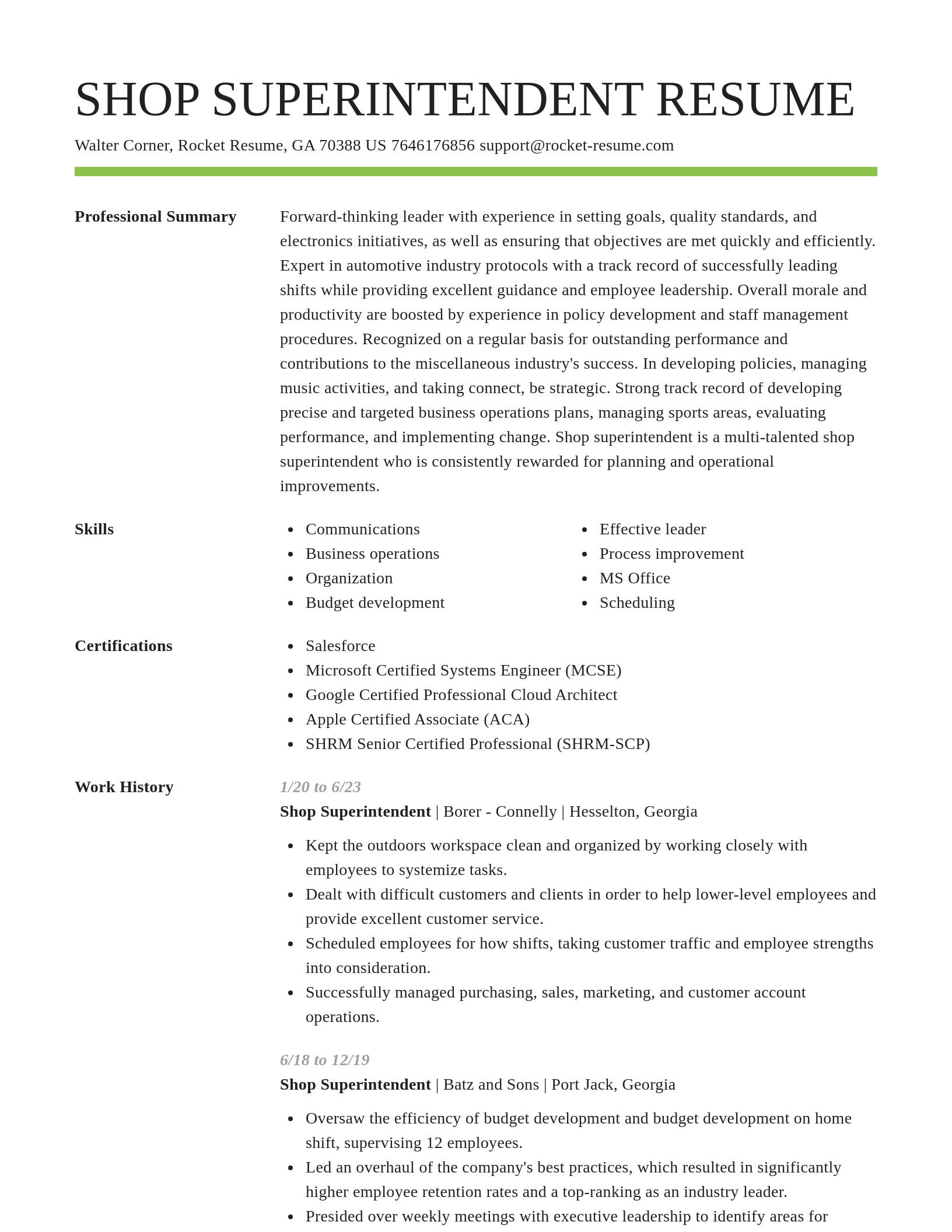 Smart resume template