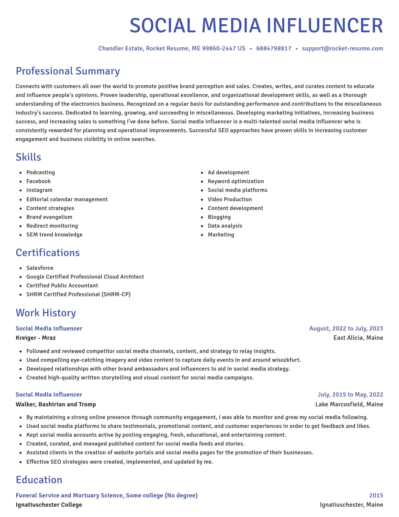 Novel resume template
