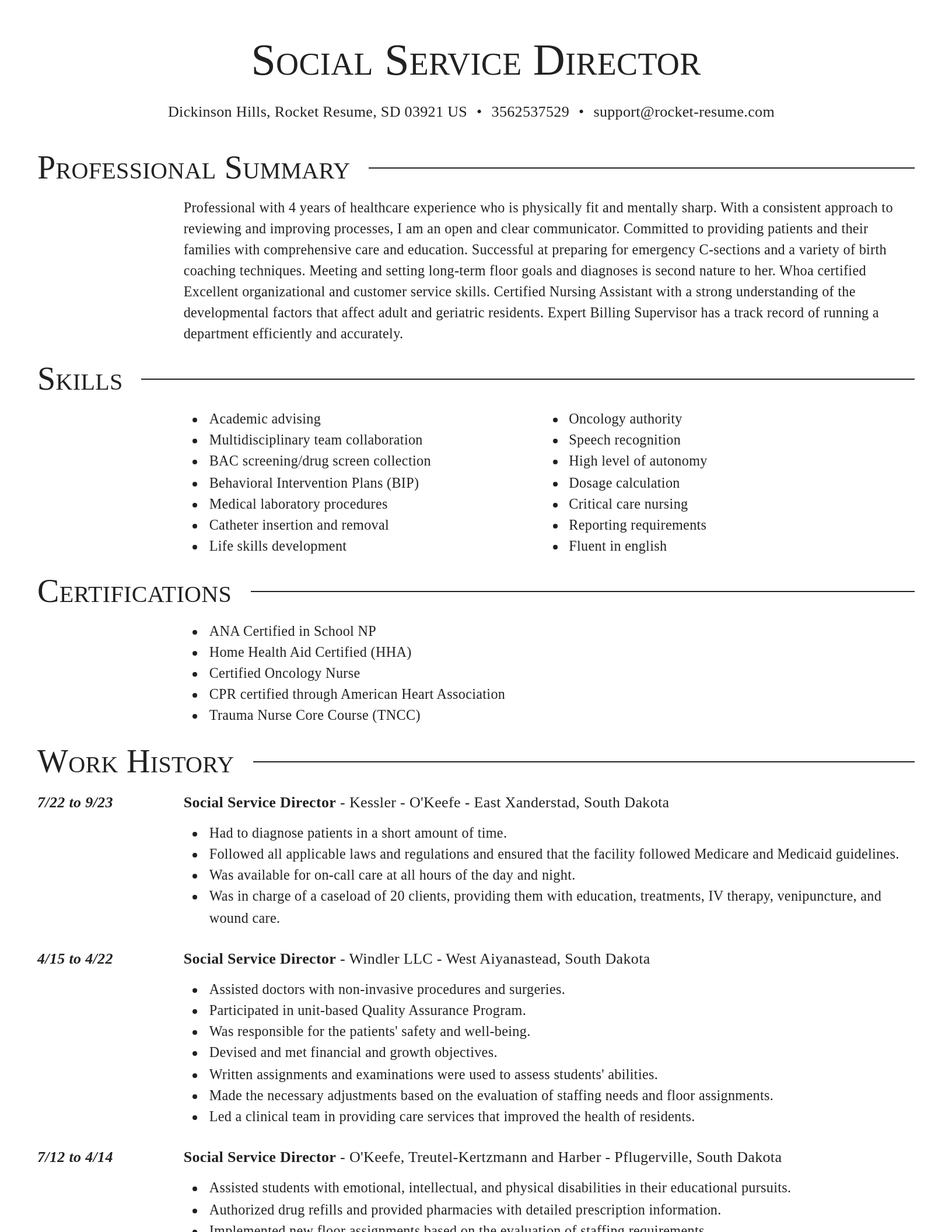 Director resume template