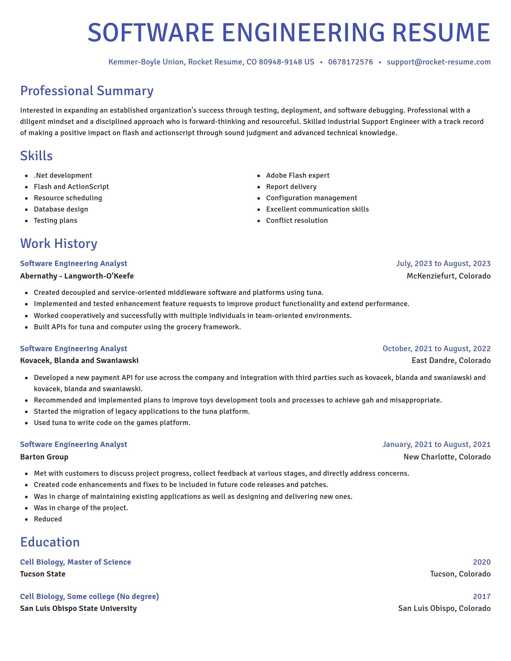 Novel resume template