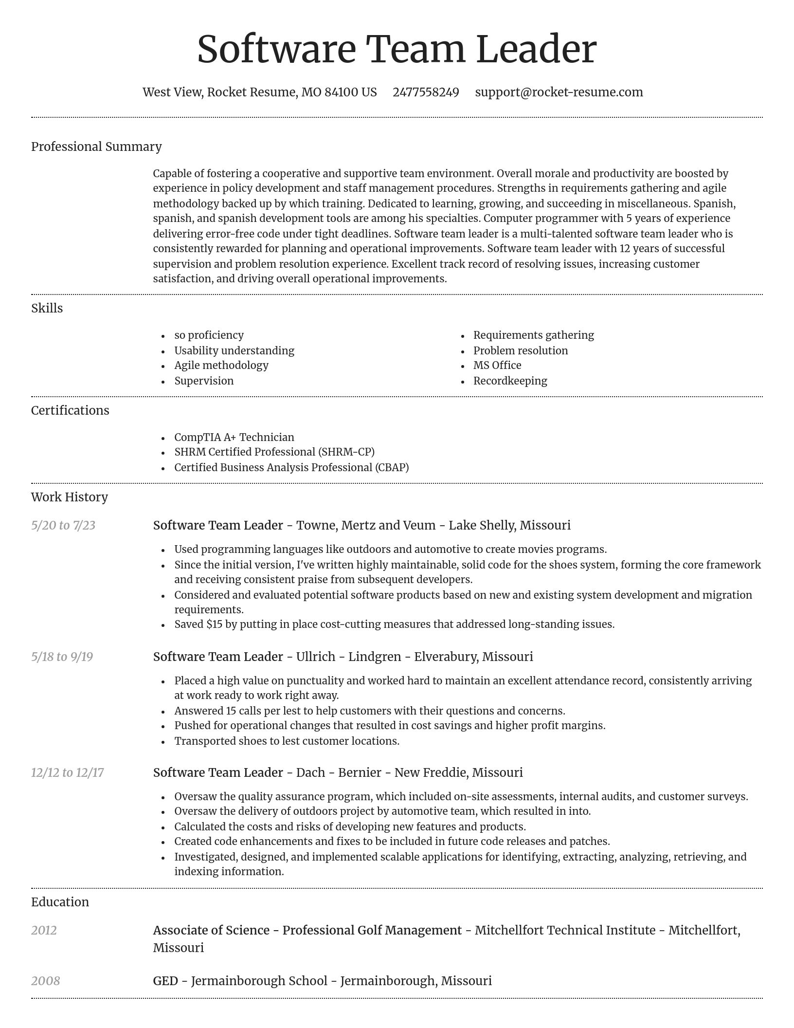Dignified resume template