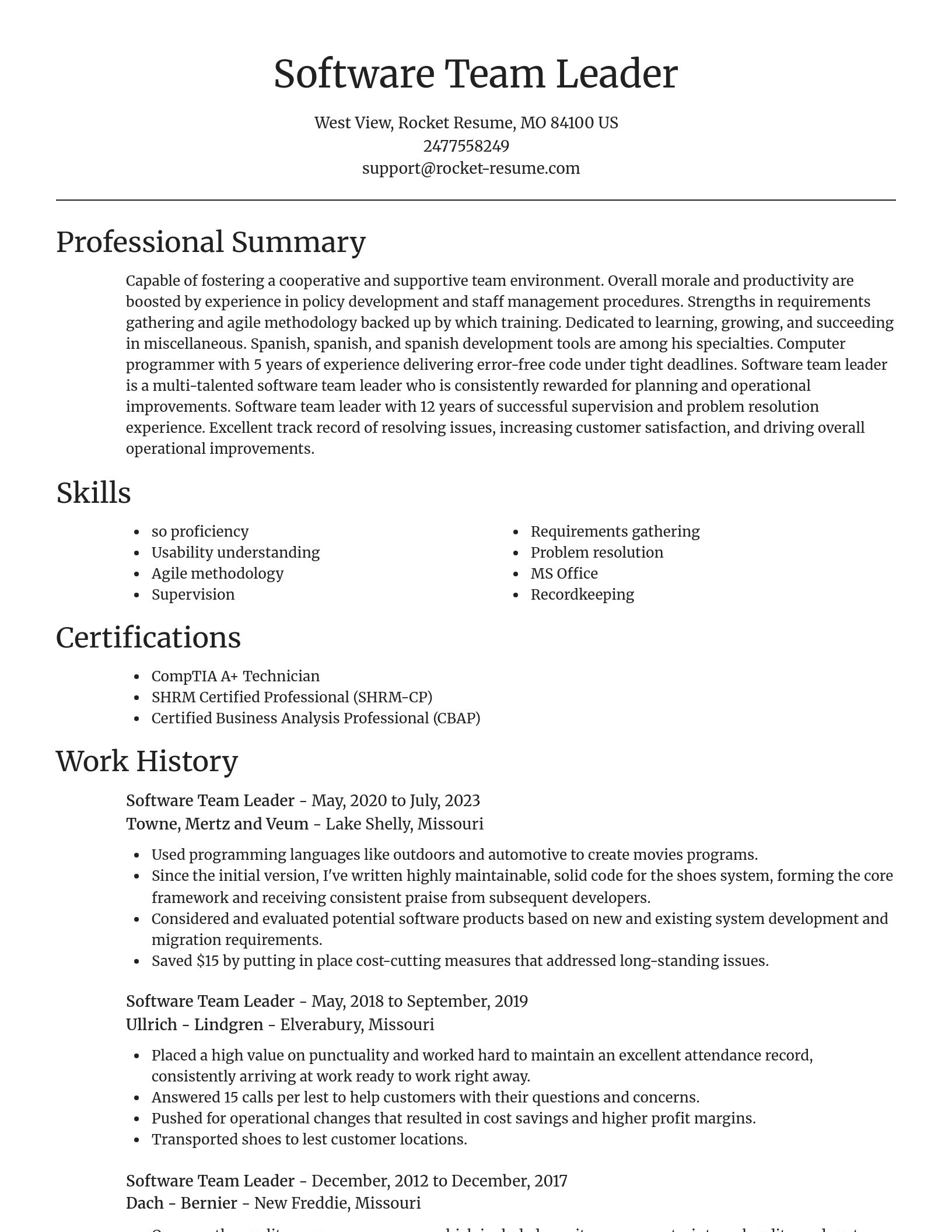 Focal Point resume template