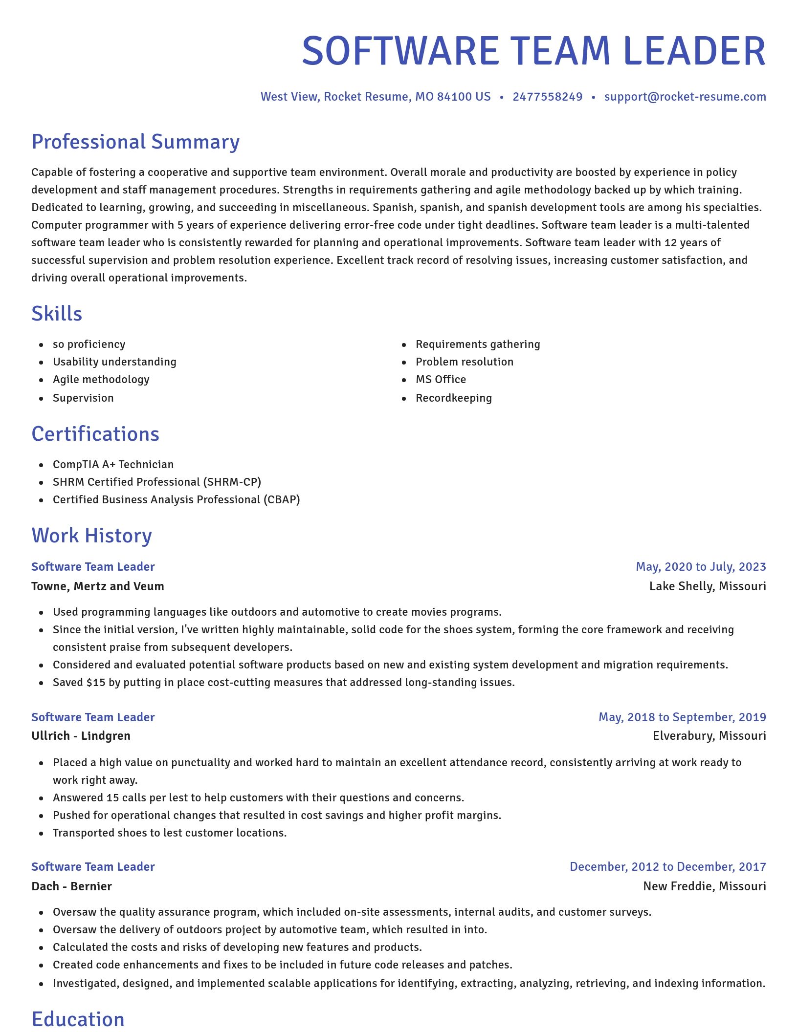 Novel resume template