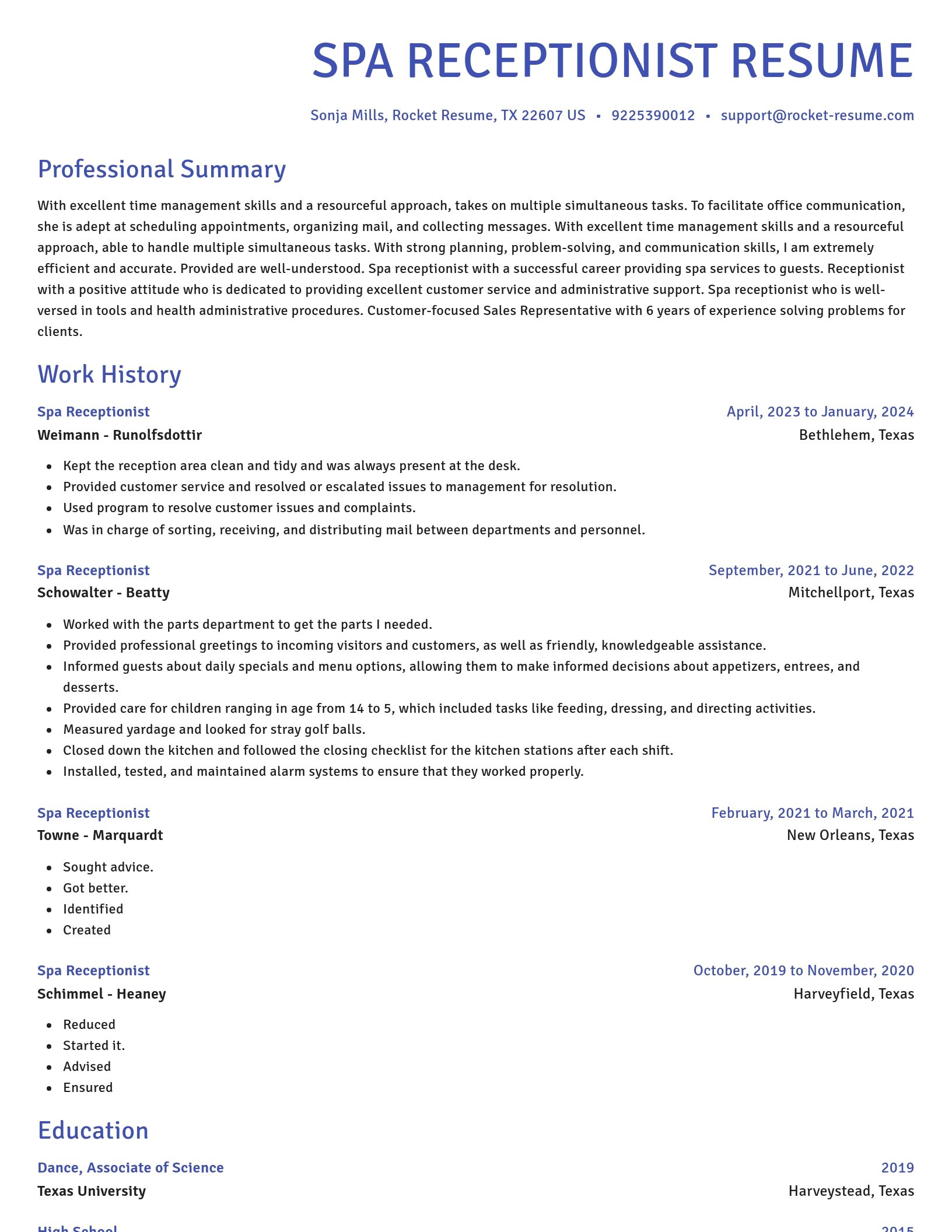 Novel resume template