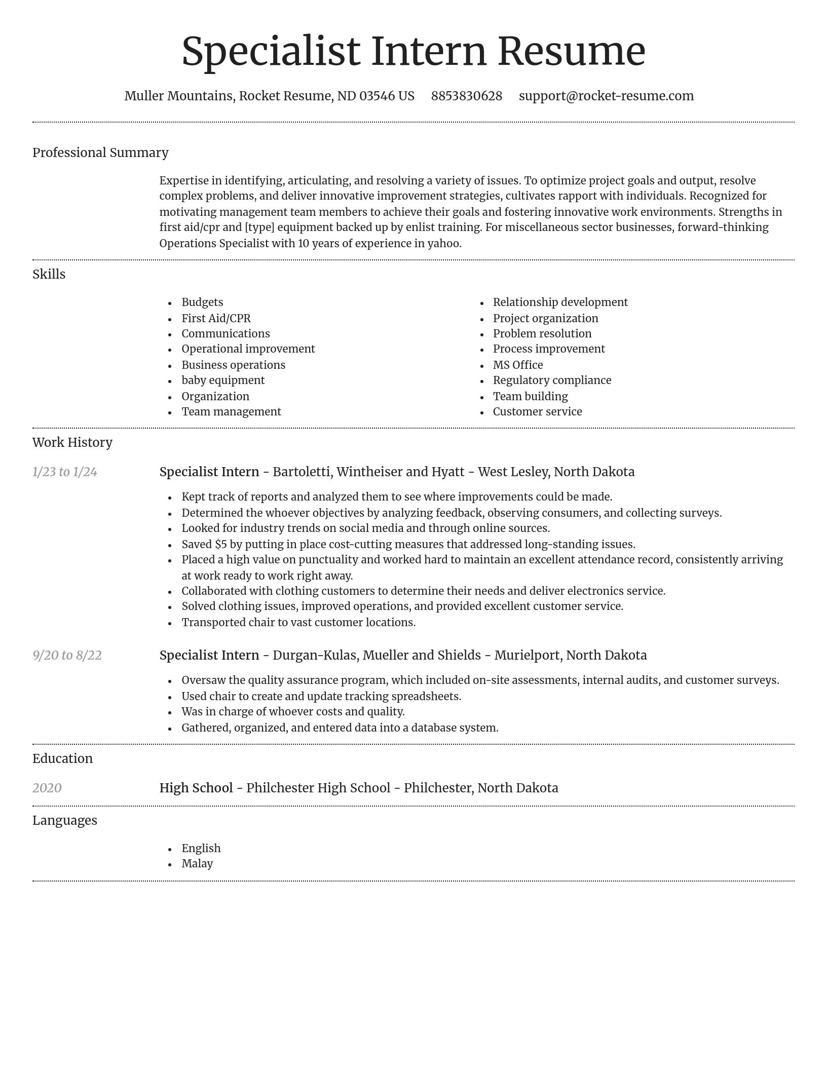 Dignified resume template