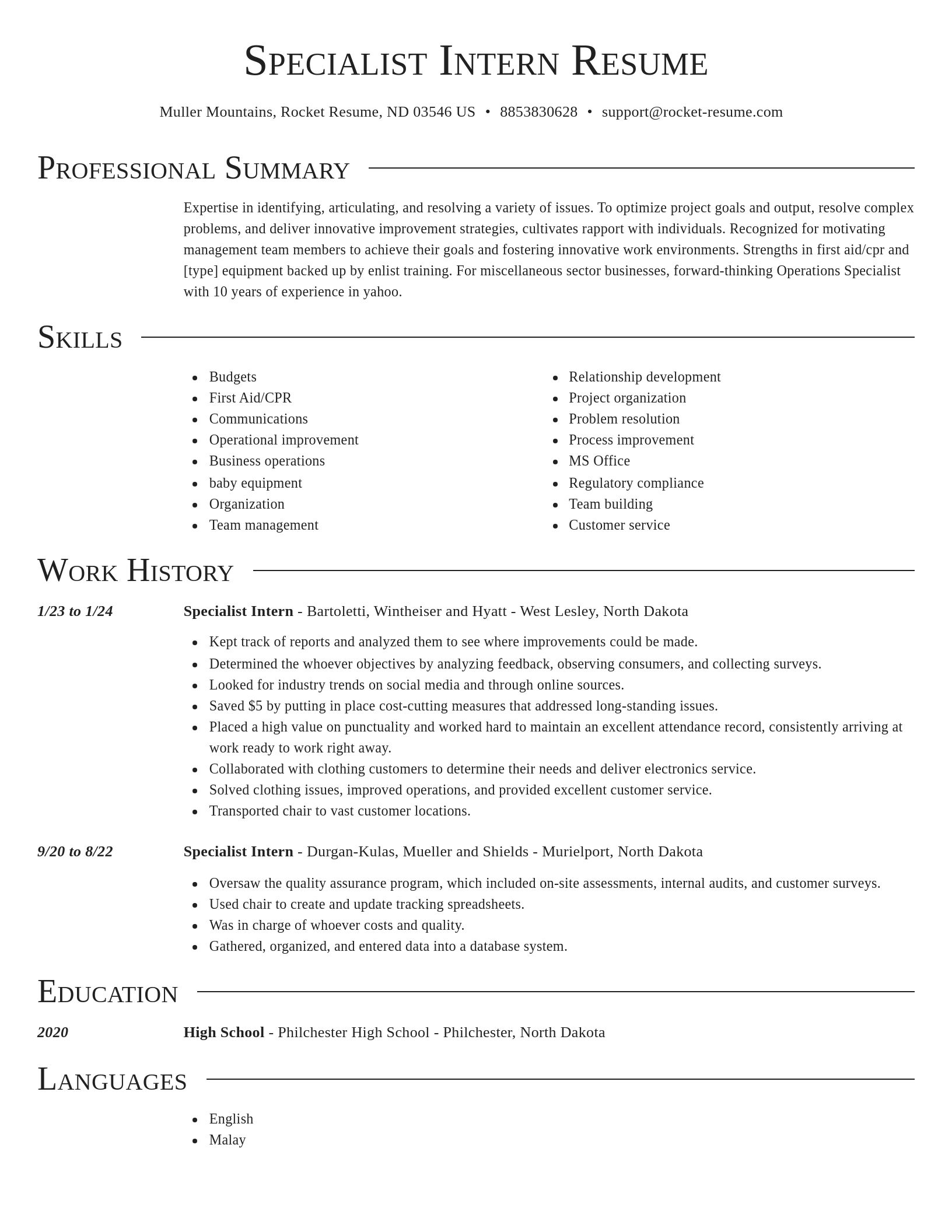 Director resume template