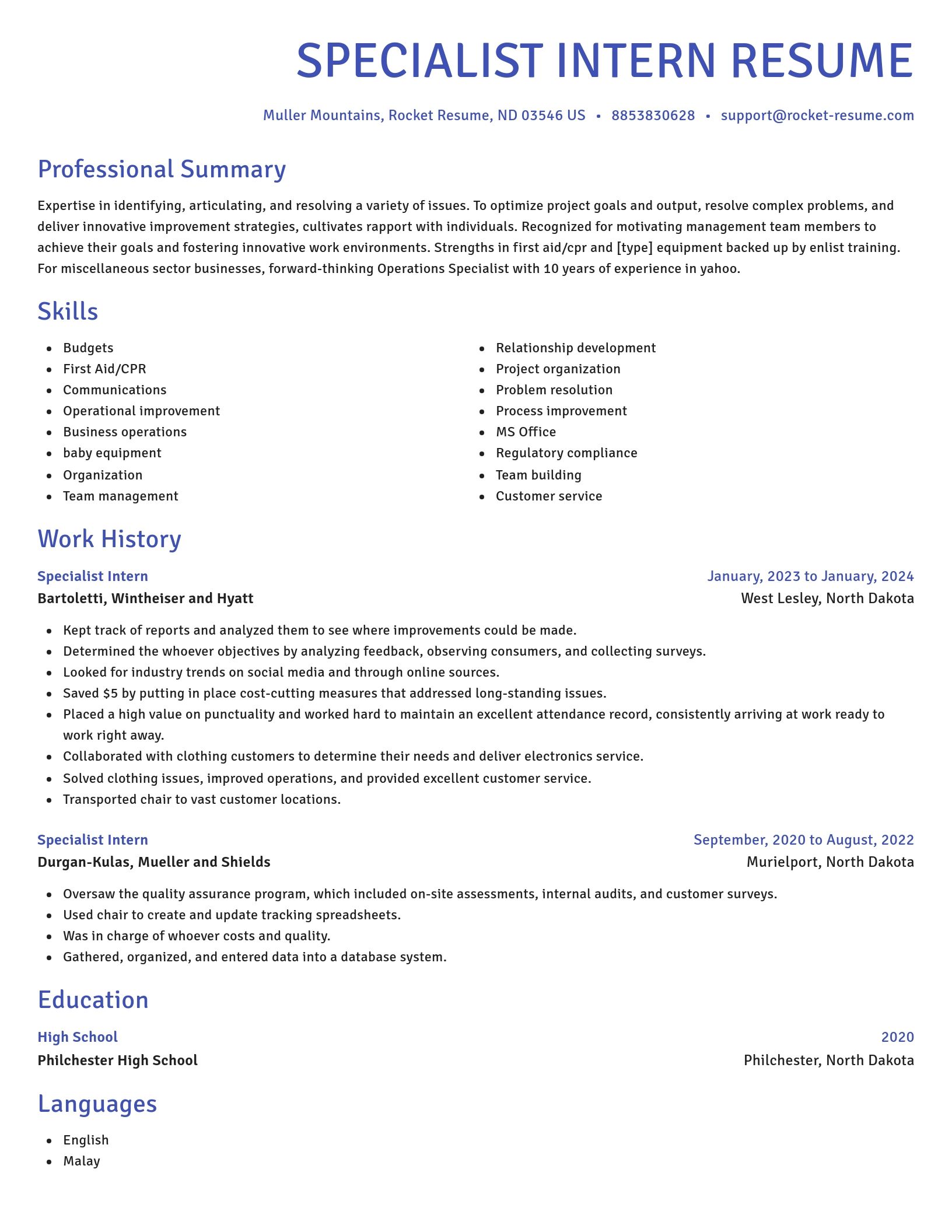 Novel resume template