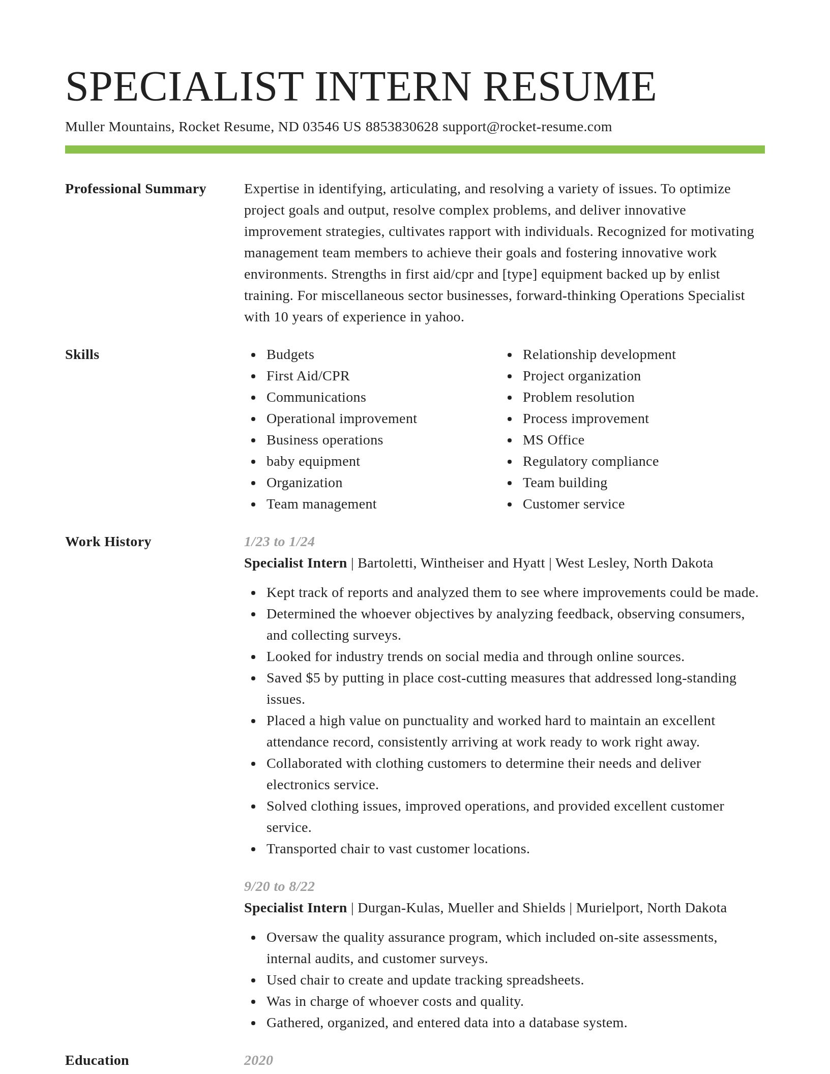 Smart resume template