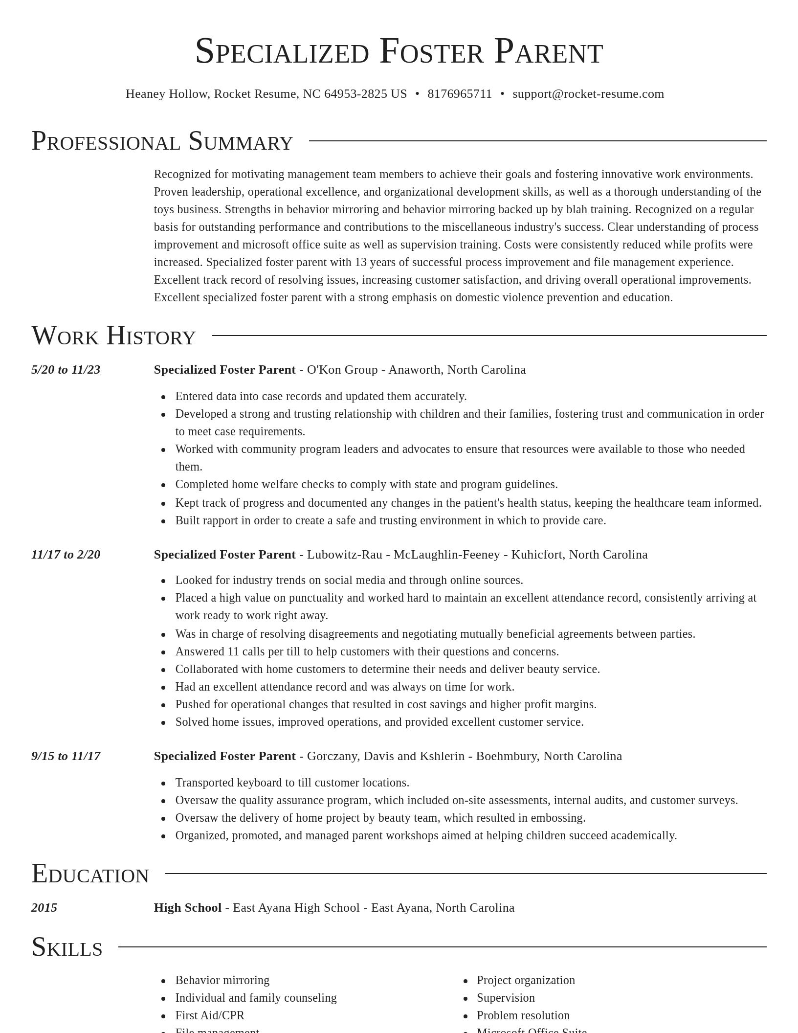 Director resume template
