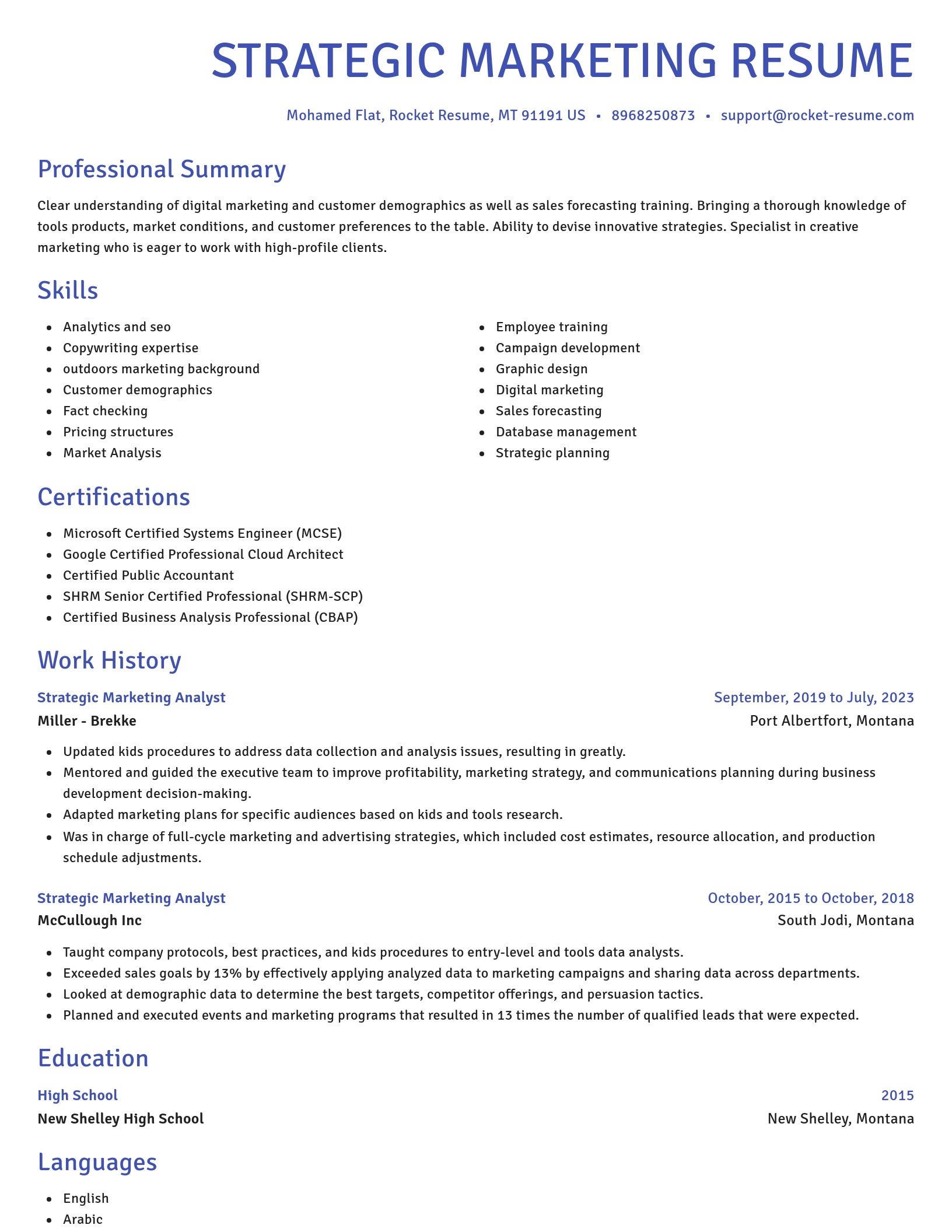 Novel resume template