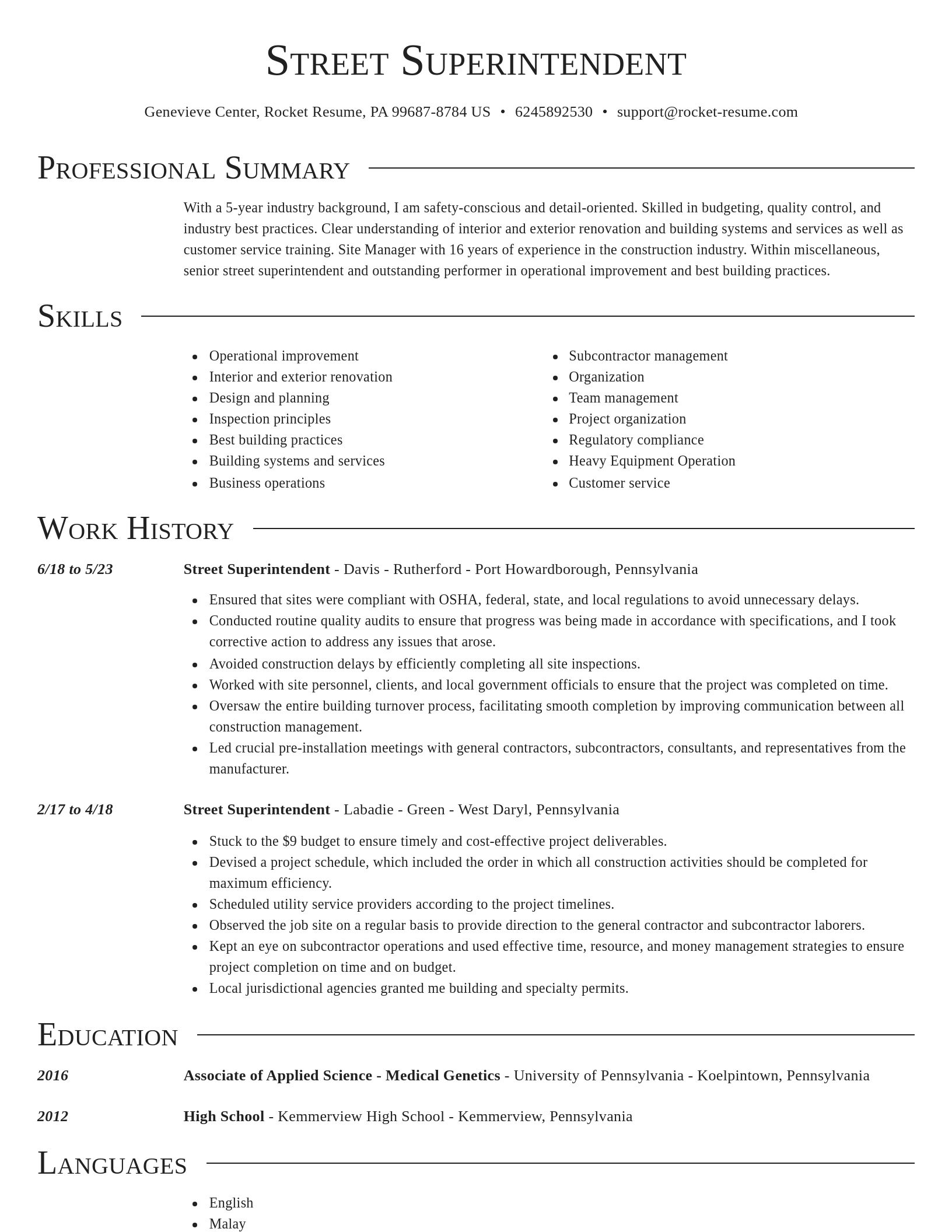 Director resume template