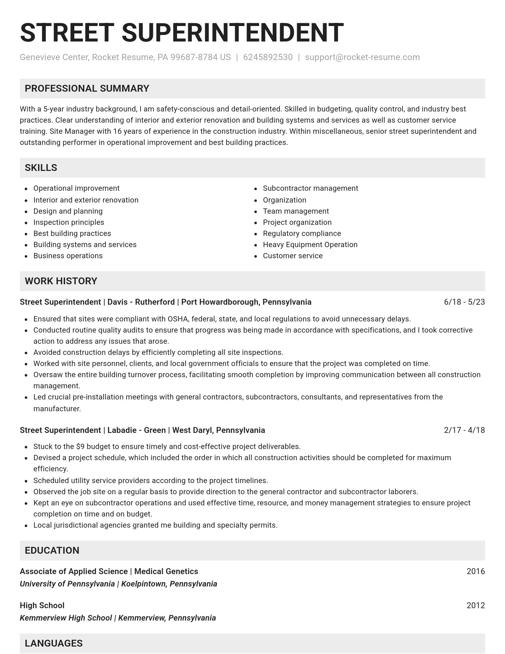 Genius resume template
