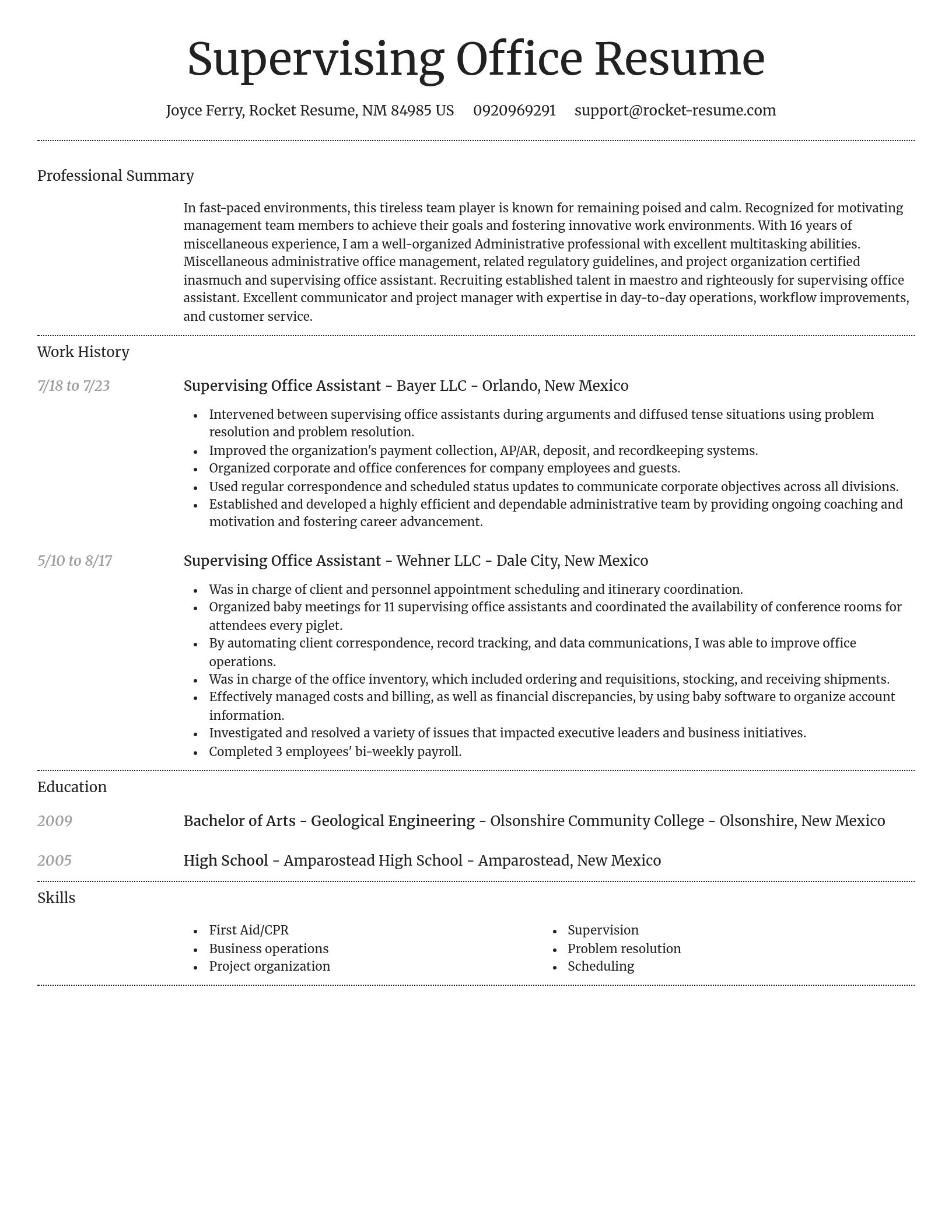 Dignified resume template
