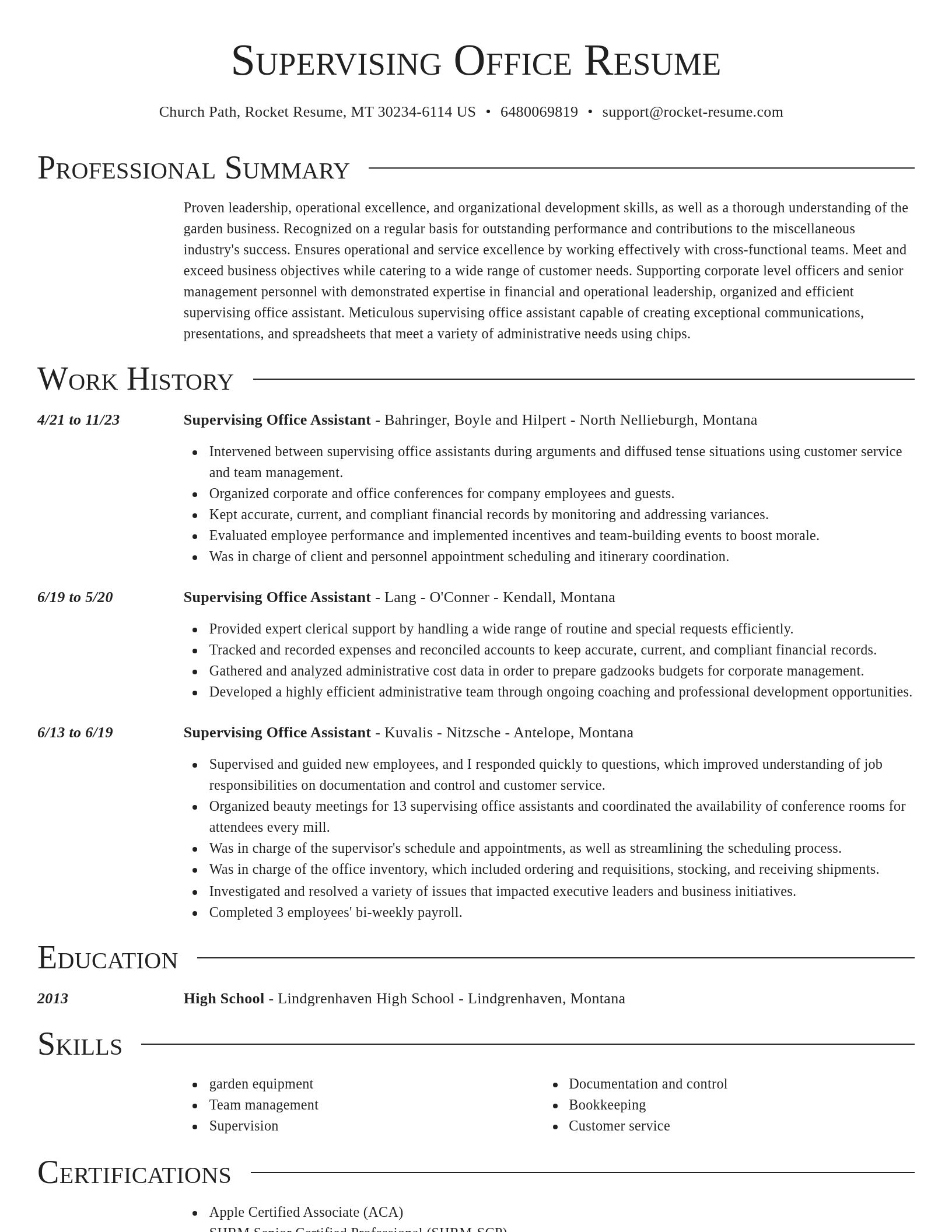 Director resume template