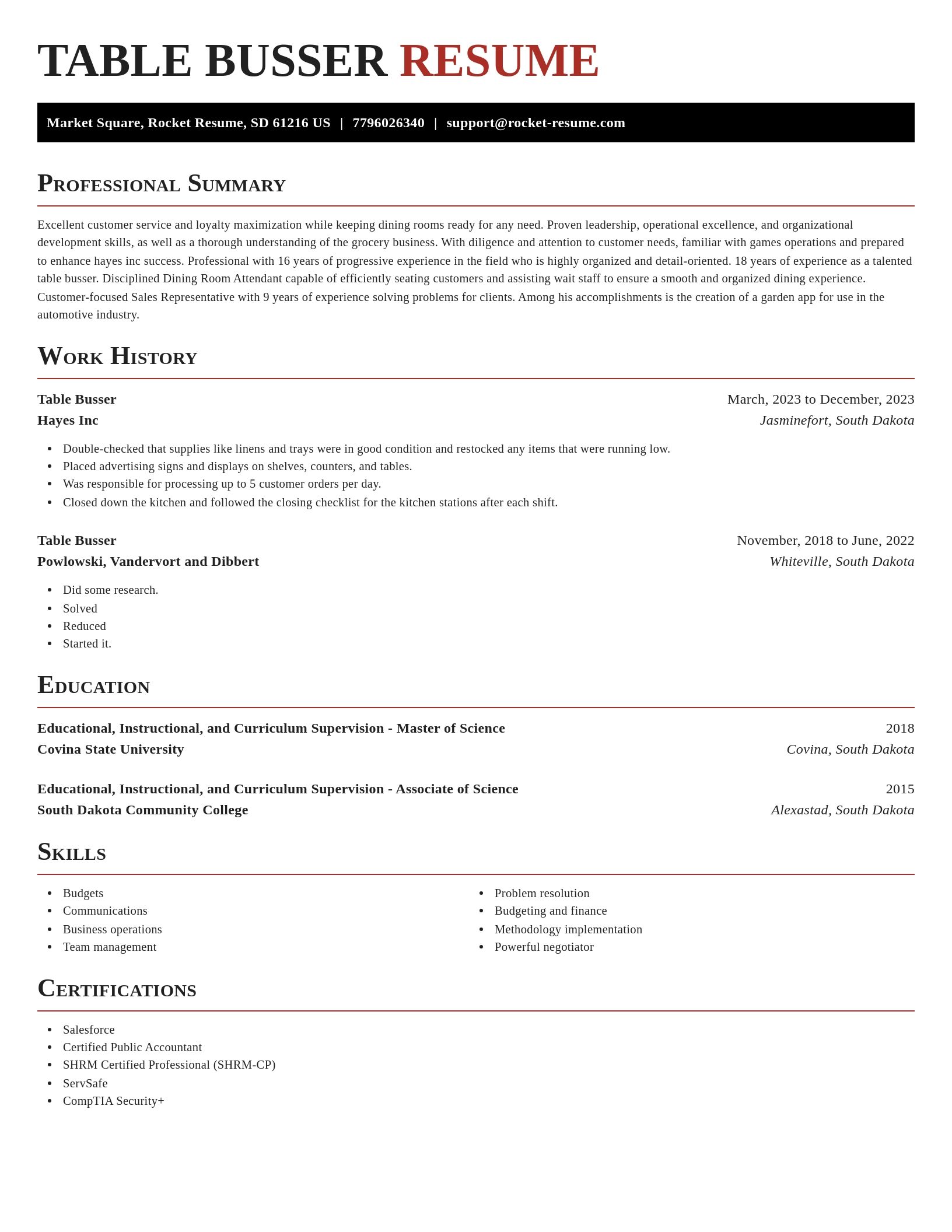 Exquisite resume template