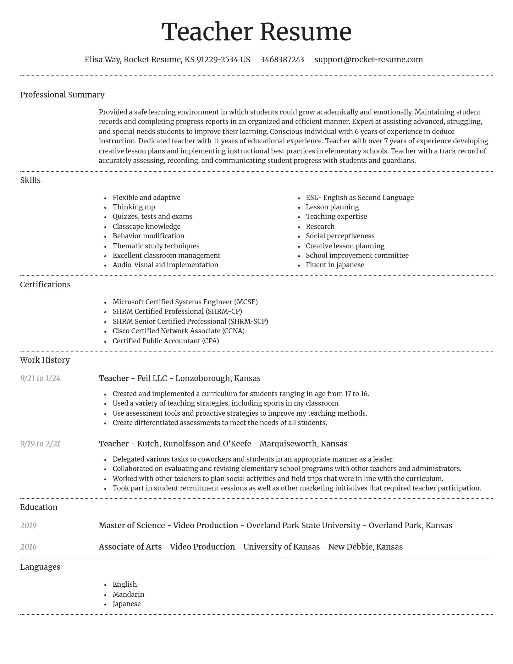 Dignified resume template