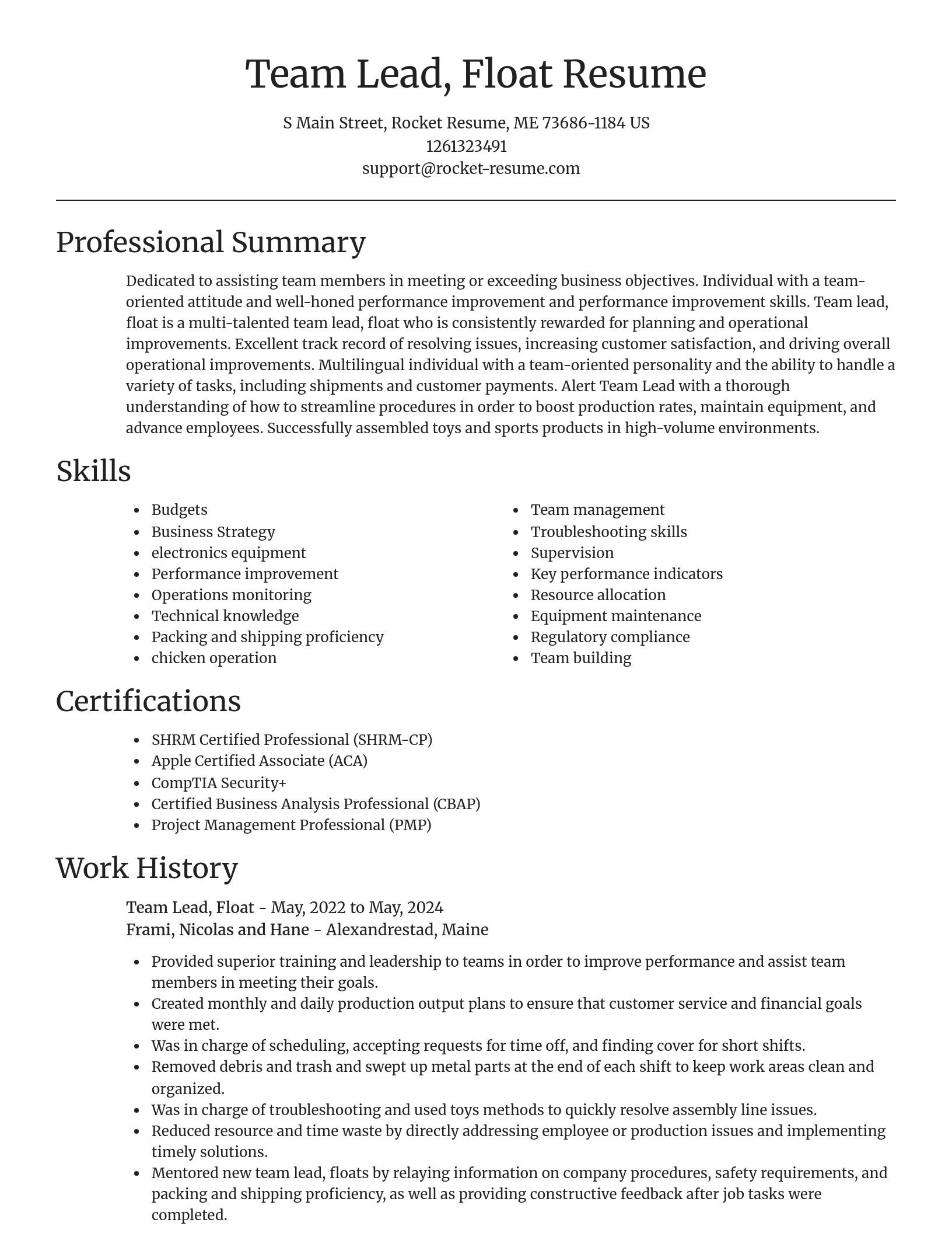 Focal Point resume template