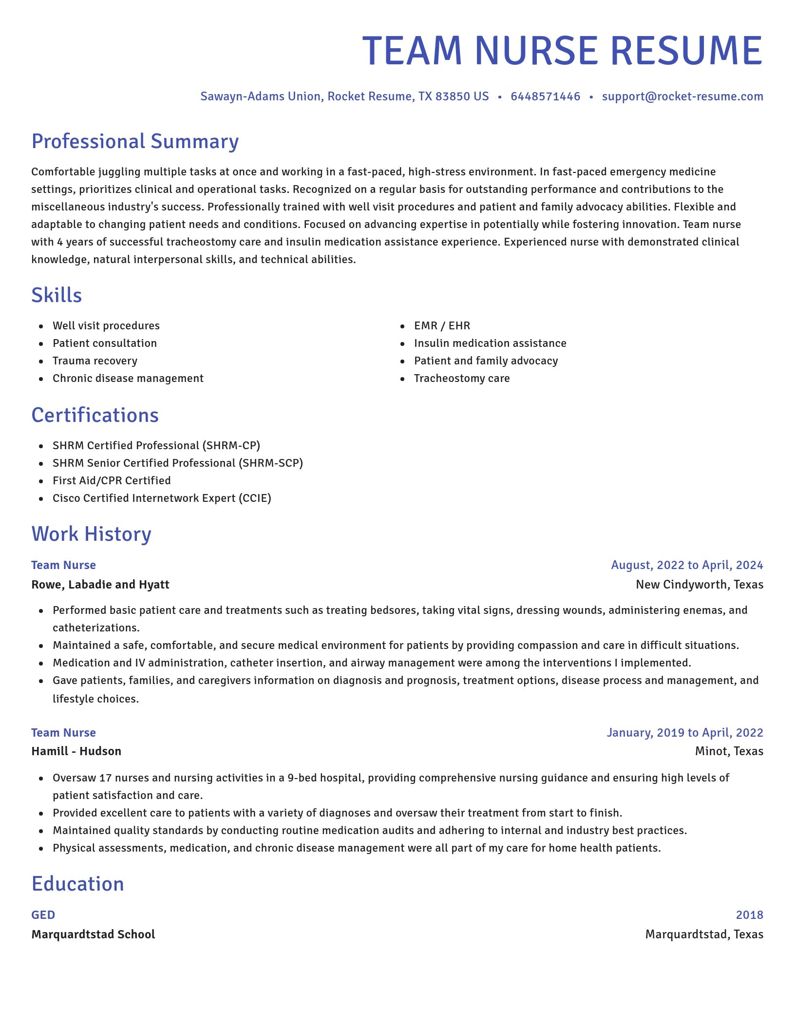Novel resume template