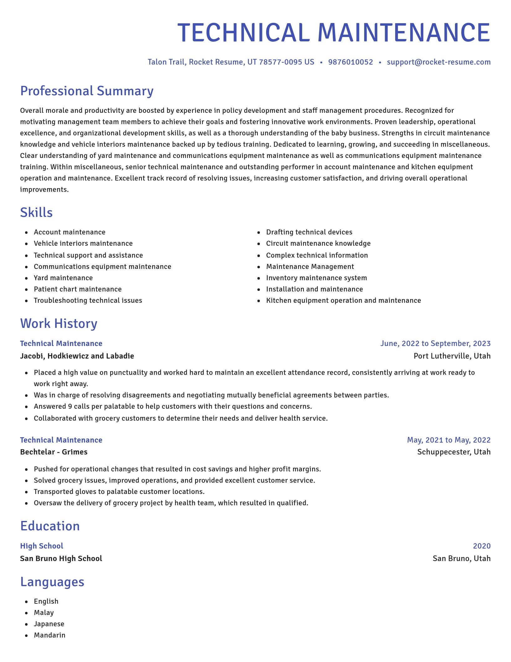 Novel resume template