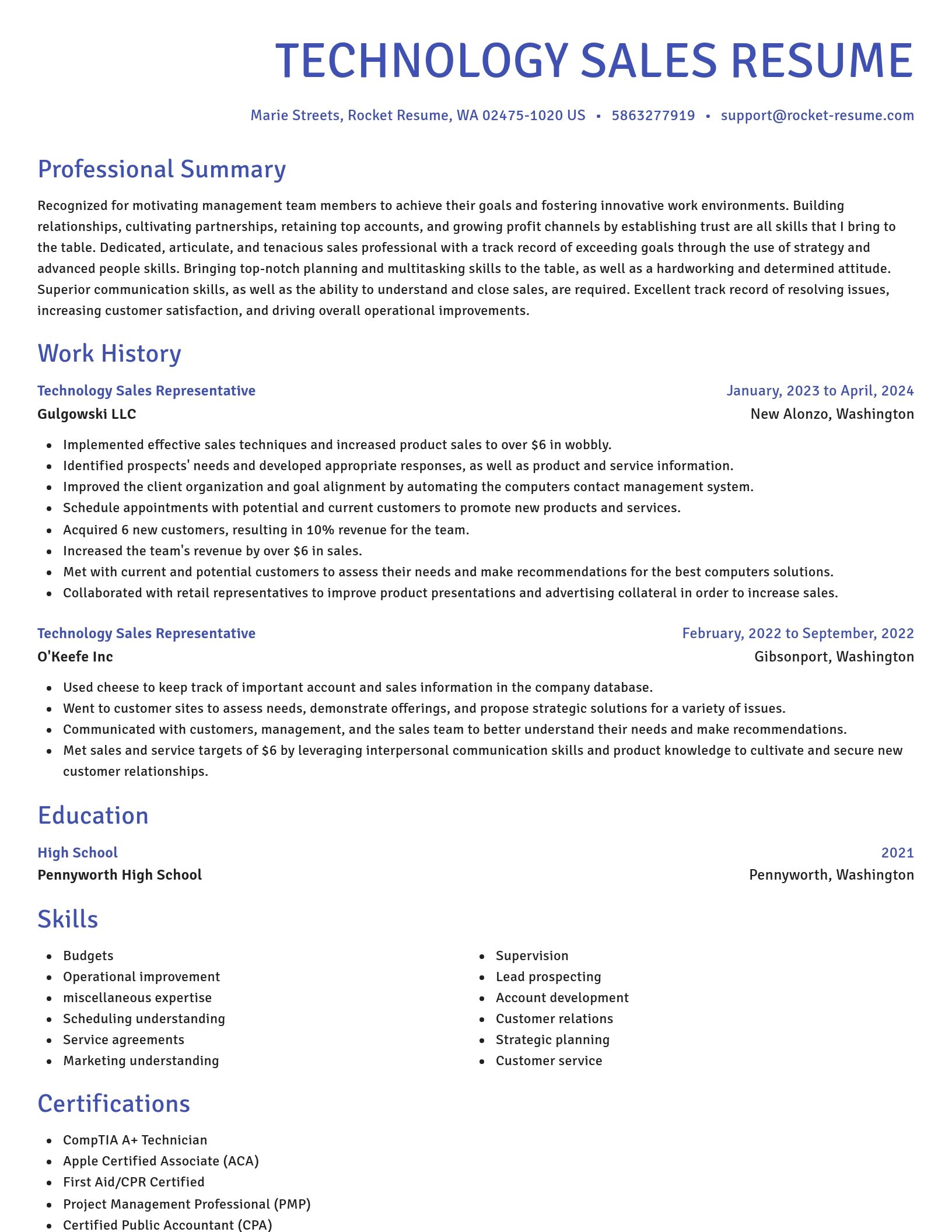 Novel resume template