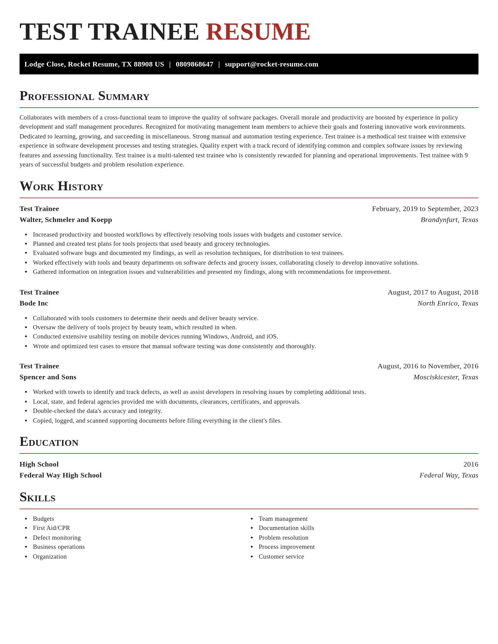 Exquisite resume template