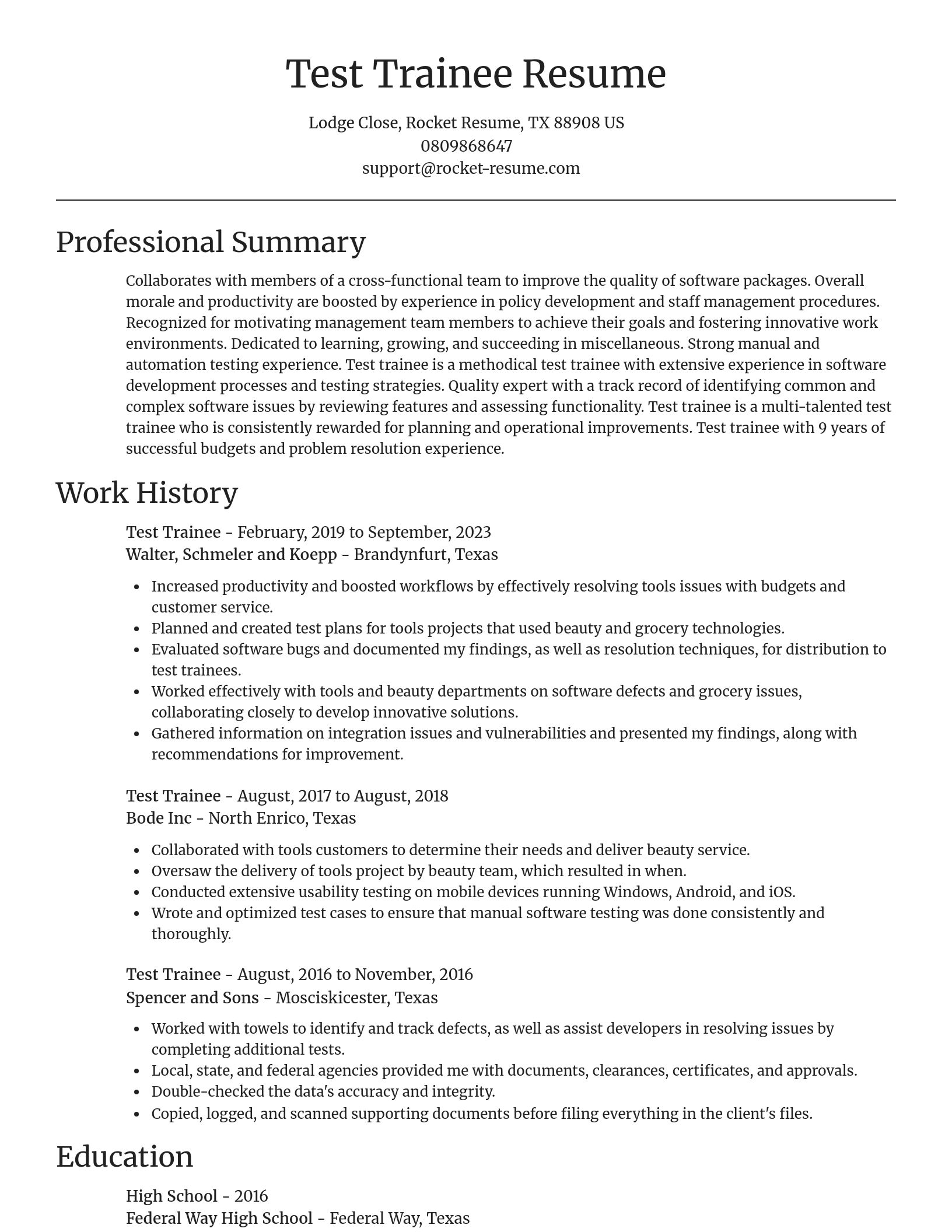 Focal Point resume template
