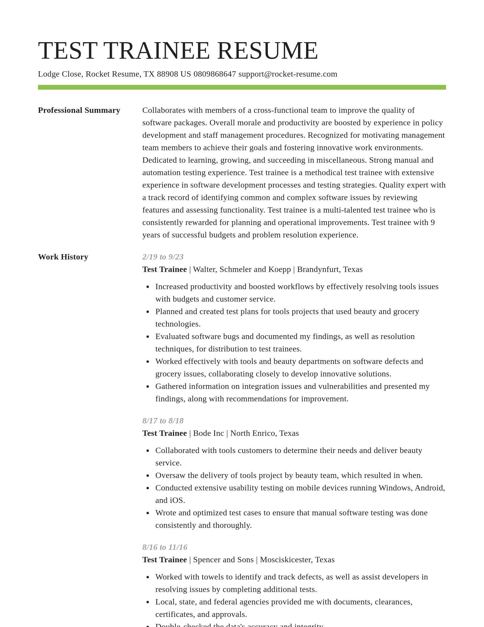 Smart resume template