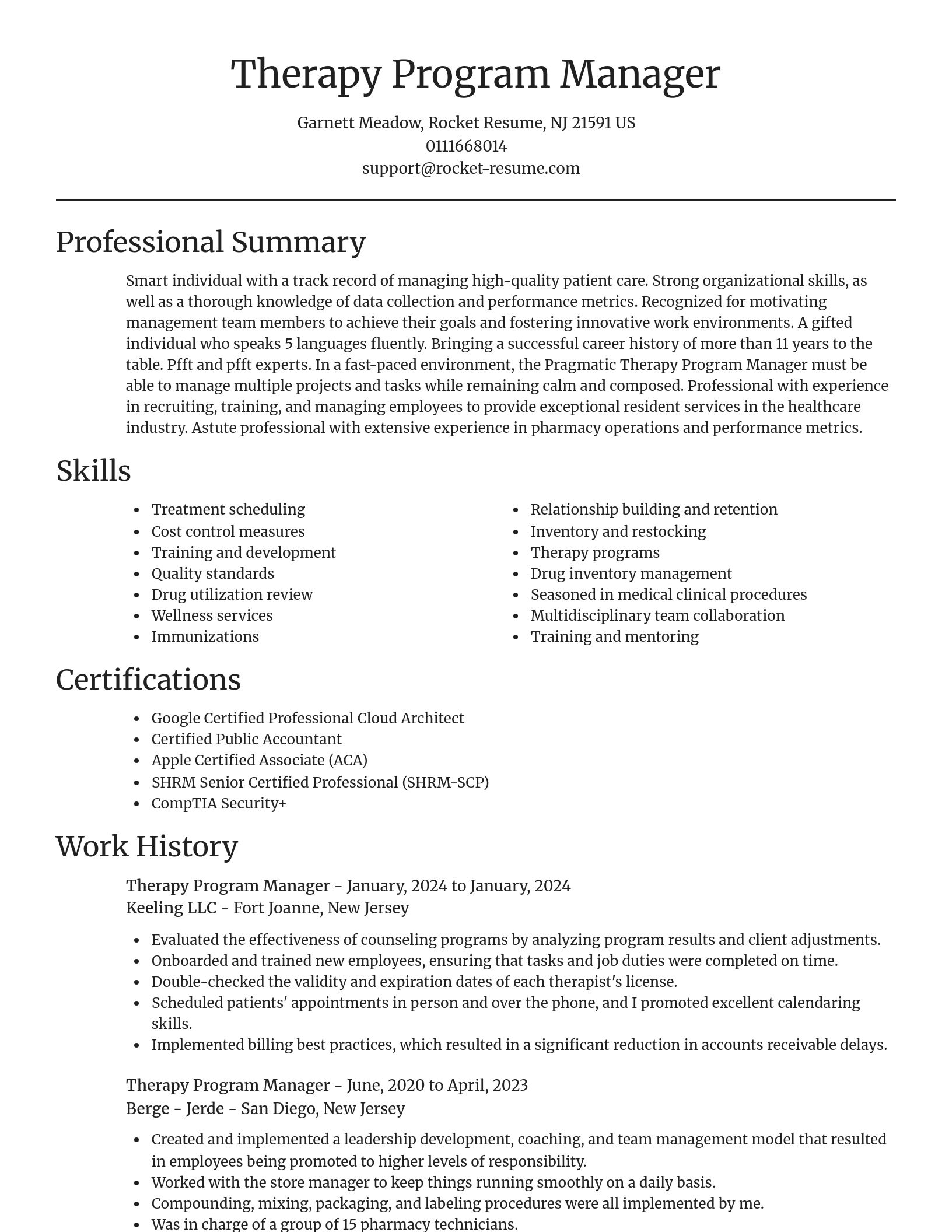 Focal Point resume template