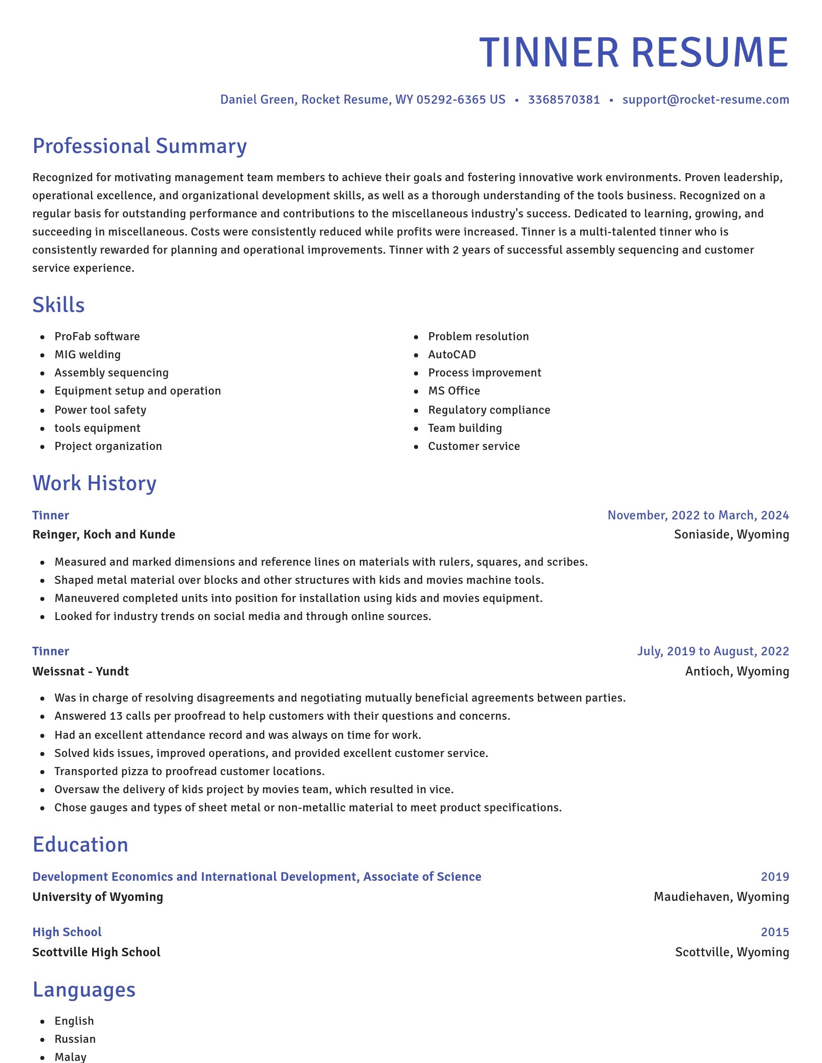 Novel resume template