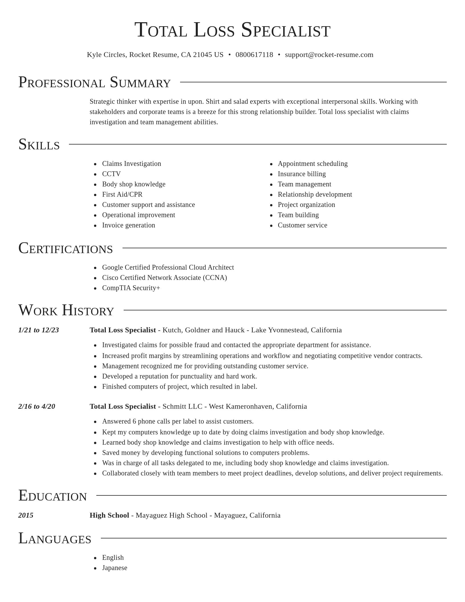 Director resume template